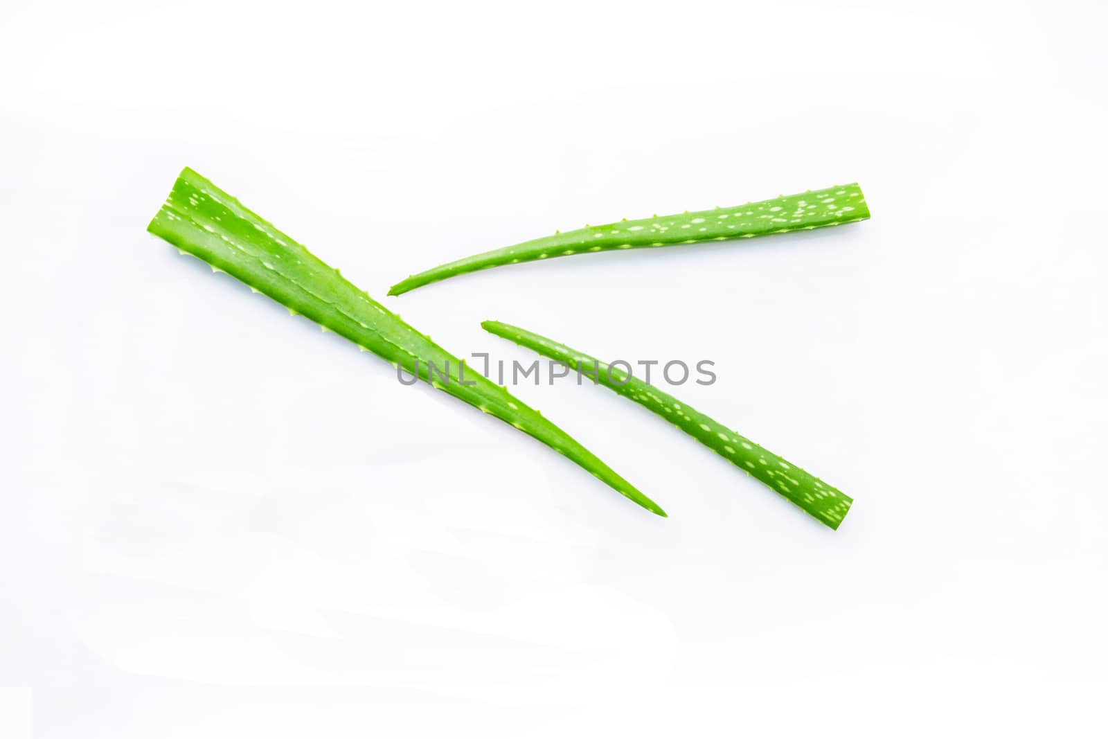 Aloe vera fresh leaves  isolated on white.