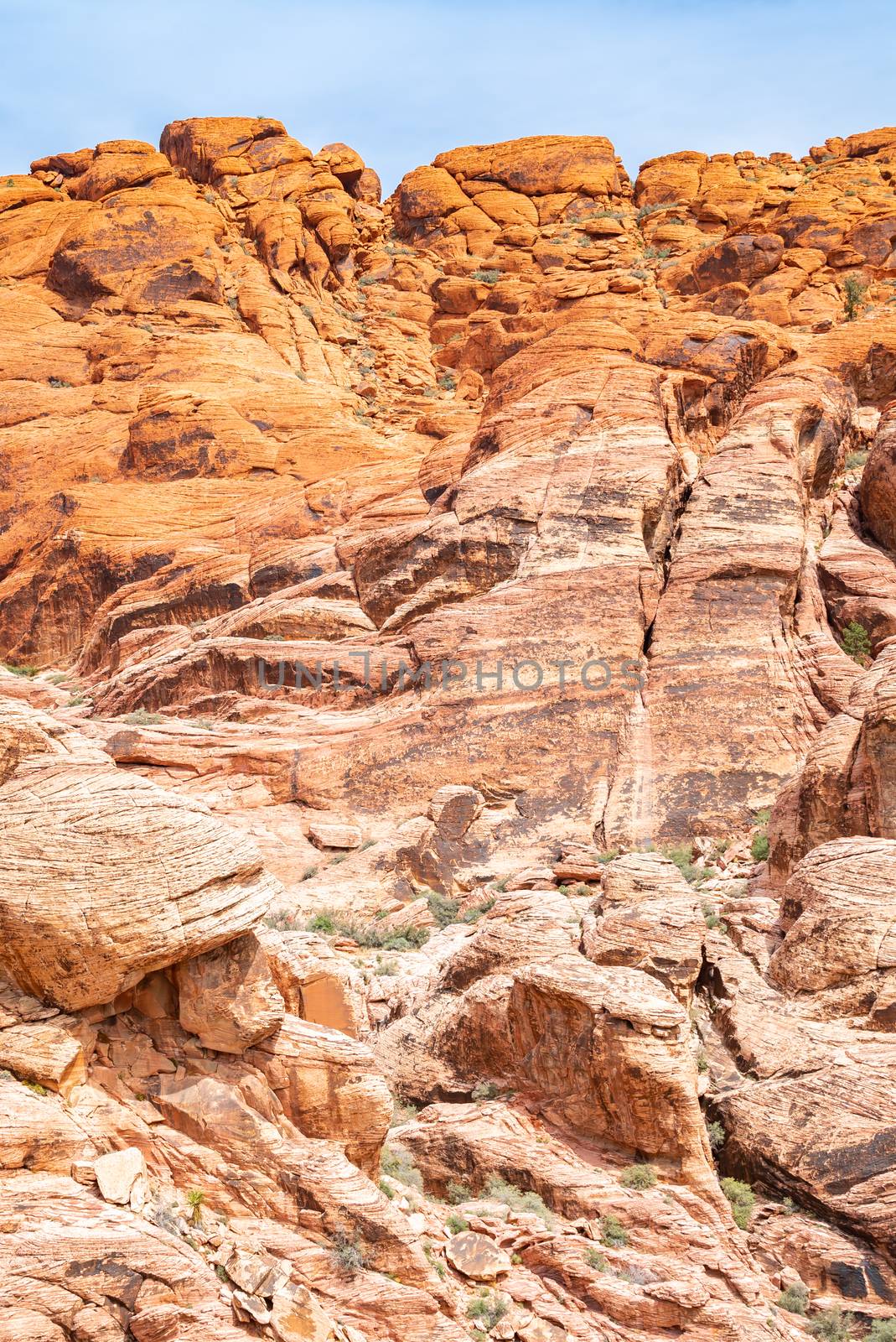 Red Rock Canyon National Conservation Area in Las Vegas Nevada USA