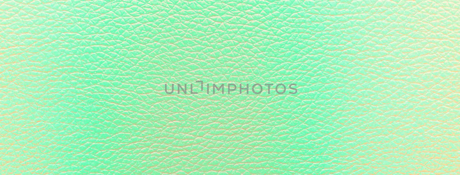 Close-up of a leather green texture used for background