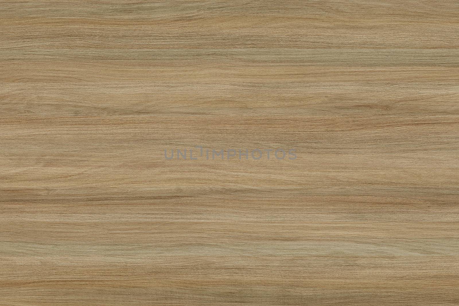 Grunge wood pattern texture background, wooden planks