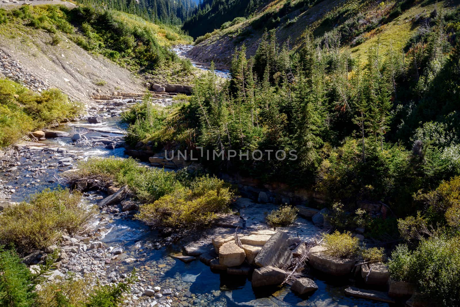 Creek in Glacier National Park next to the Going to the Sun Road