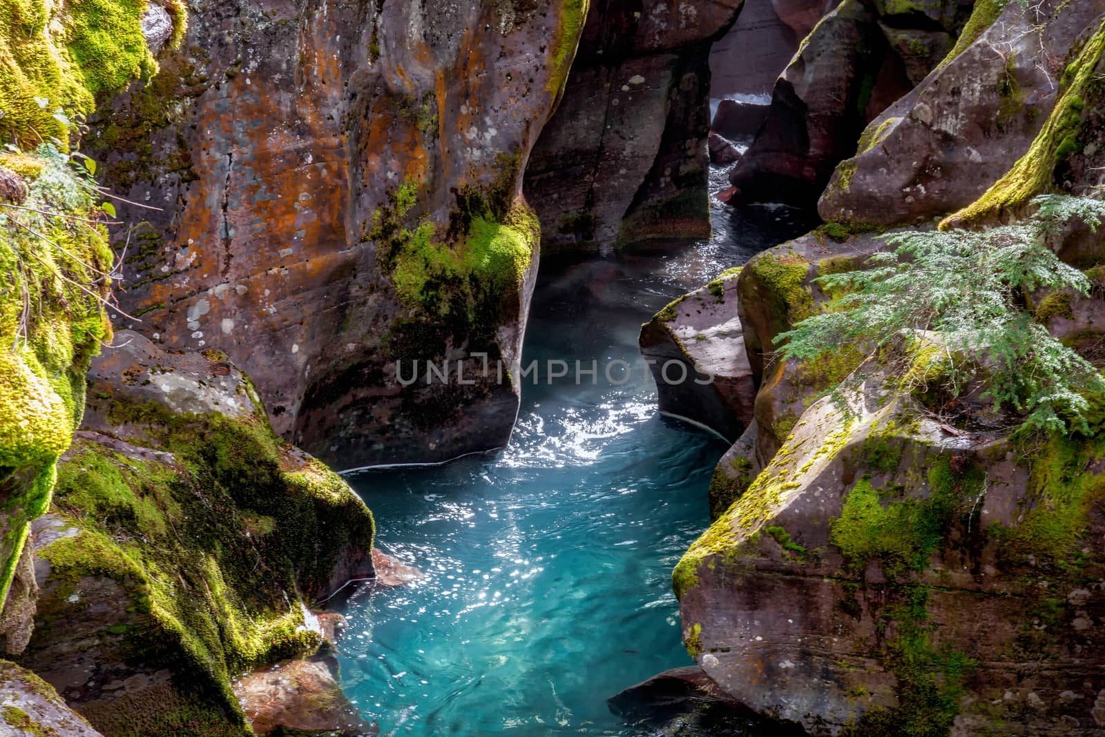 Looking into Avalanche Creek by phil_bird