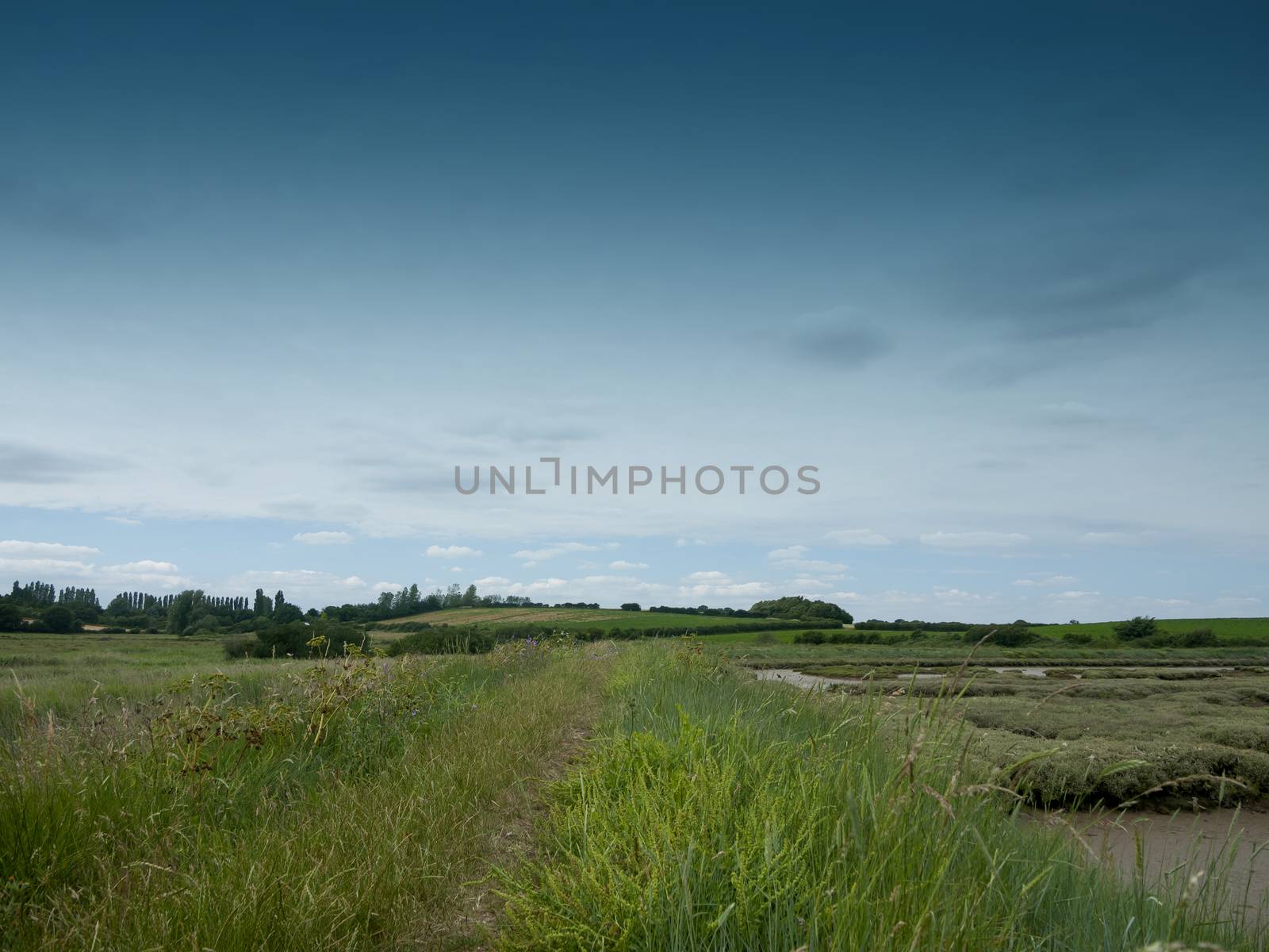 countryside walking path outside through meadow; Essex; UK