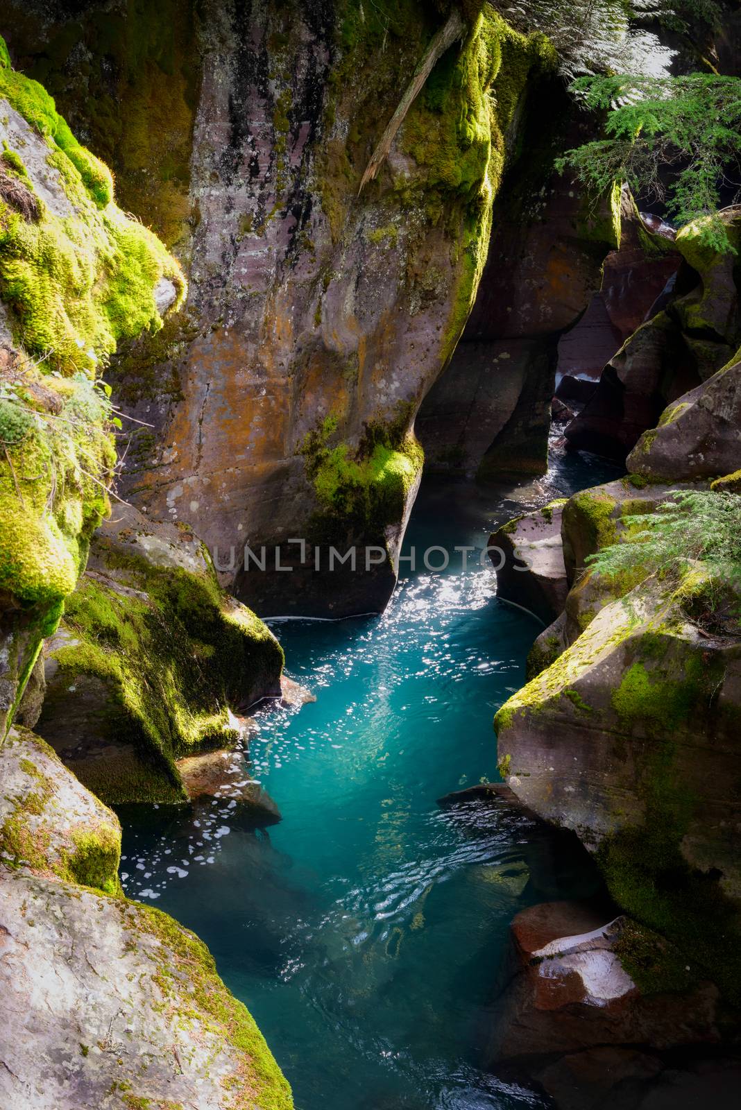 Avalanche Creek