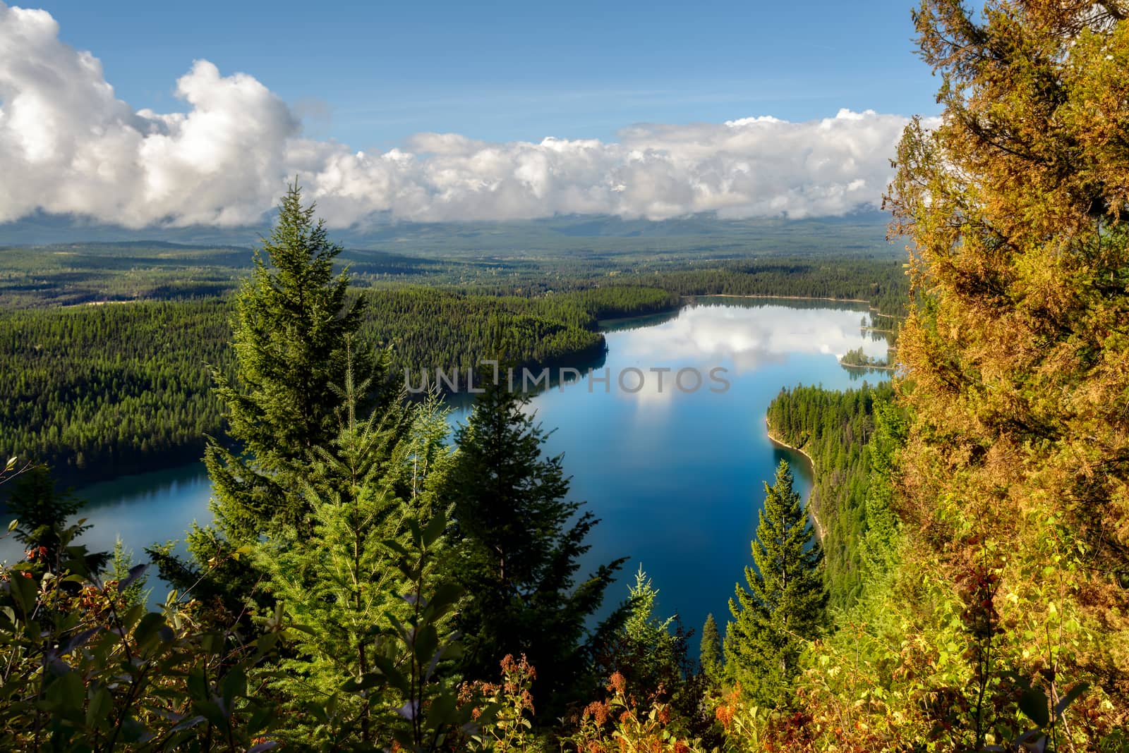 Autumnal Scene at Holland Lake in Montana by phil_bird