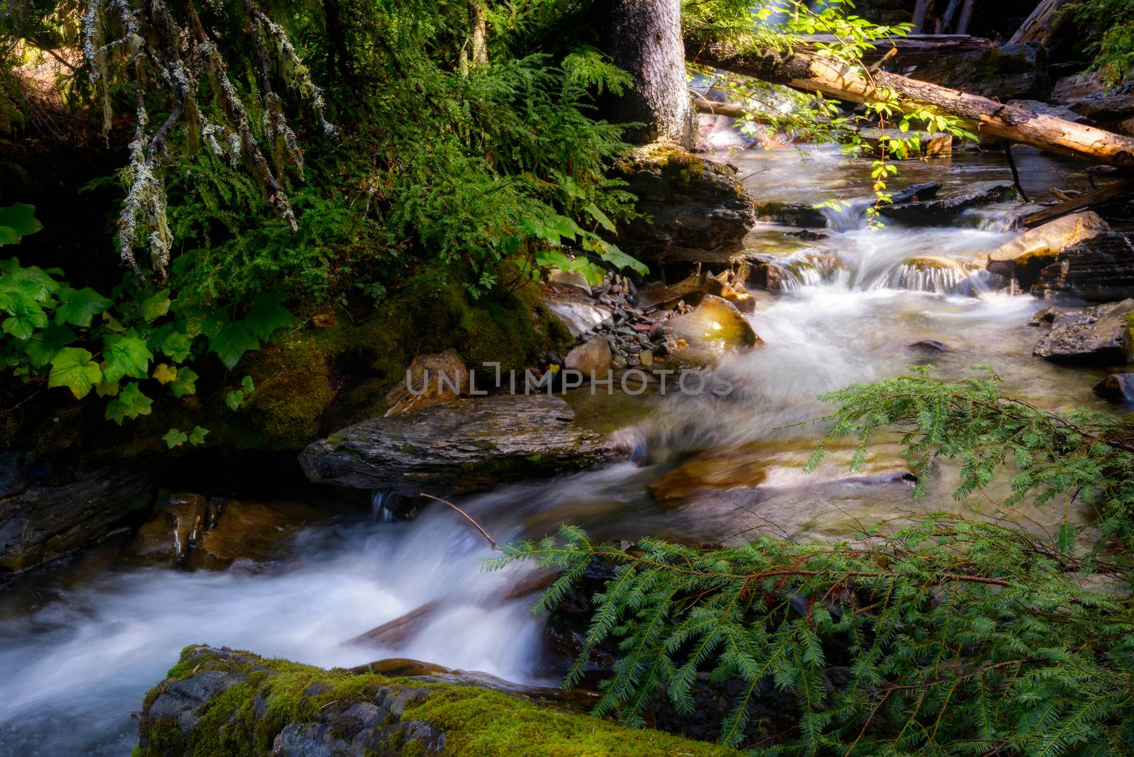 Holland Creek on a Sunny Autumn Day by phil_bird