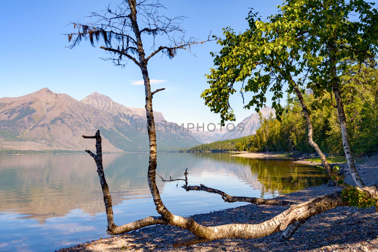 View of Lake McDonald in Montana