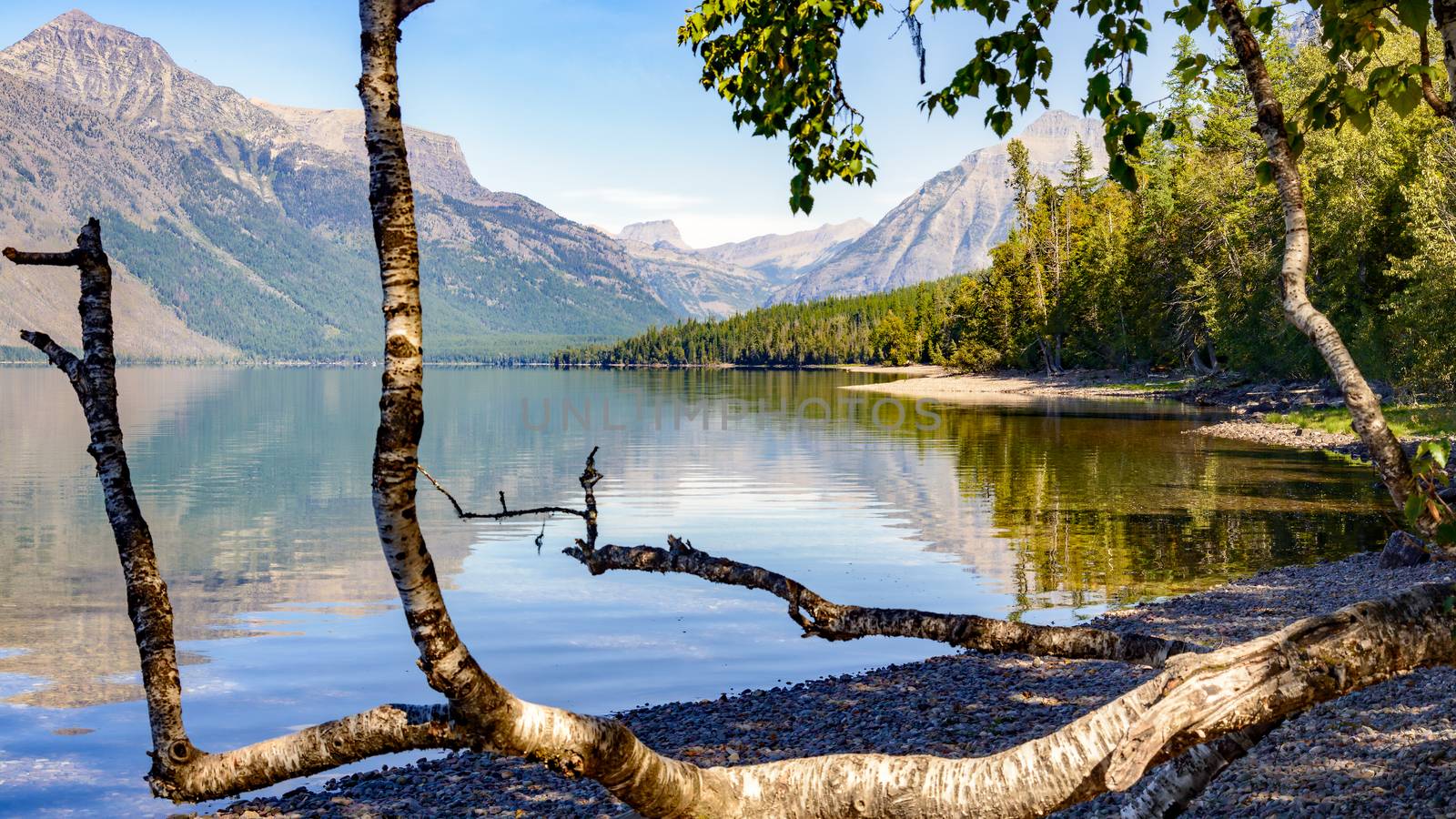 View of Lake McDonald in Montana by phil_bird