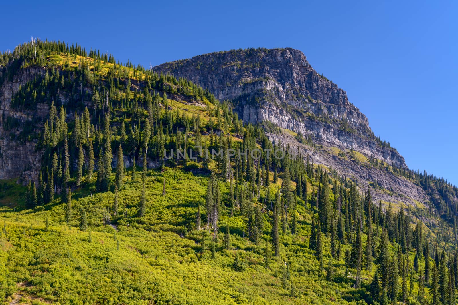 Scenic View of Glacier National Park by phil_bird