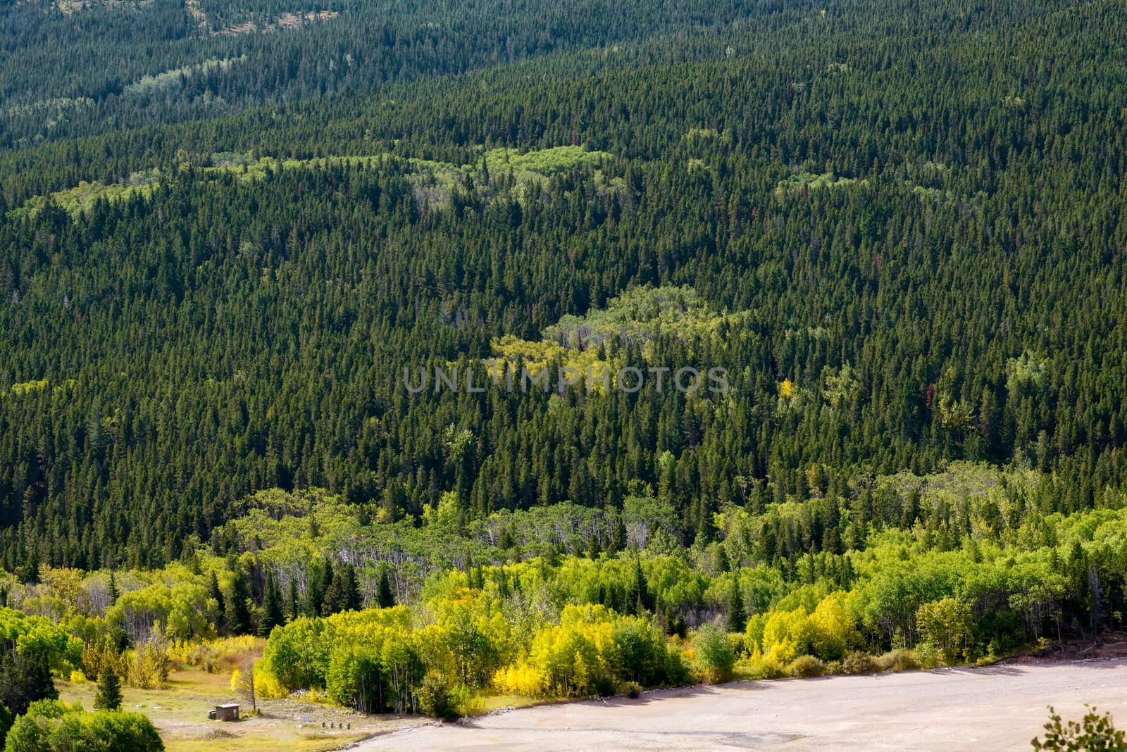 Wooden Hut beside Lower Two Medicine Lake