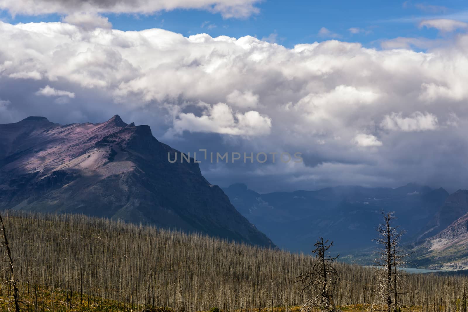 Purple Mountains next to Lower Two Medicine Lake