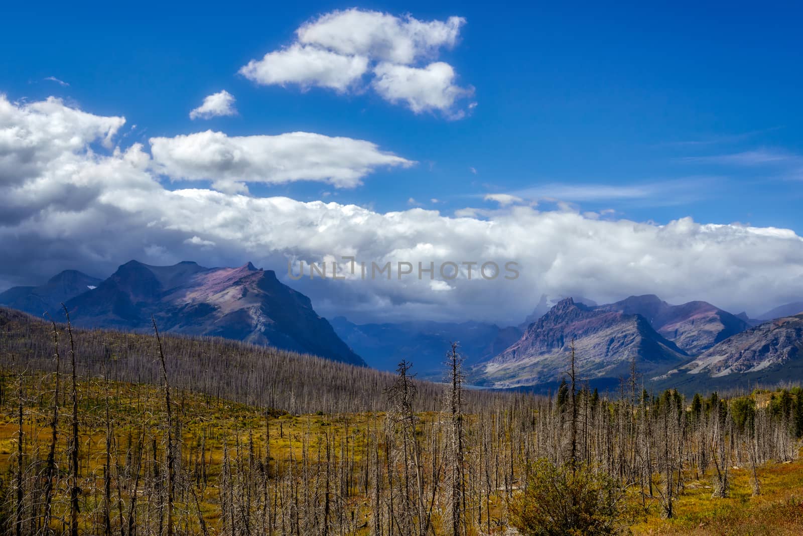 Purple Mountains next to Lower Two Medicine Lake by phil_bird