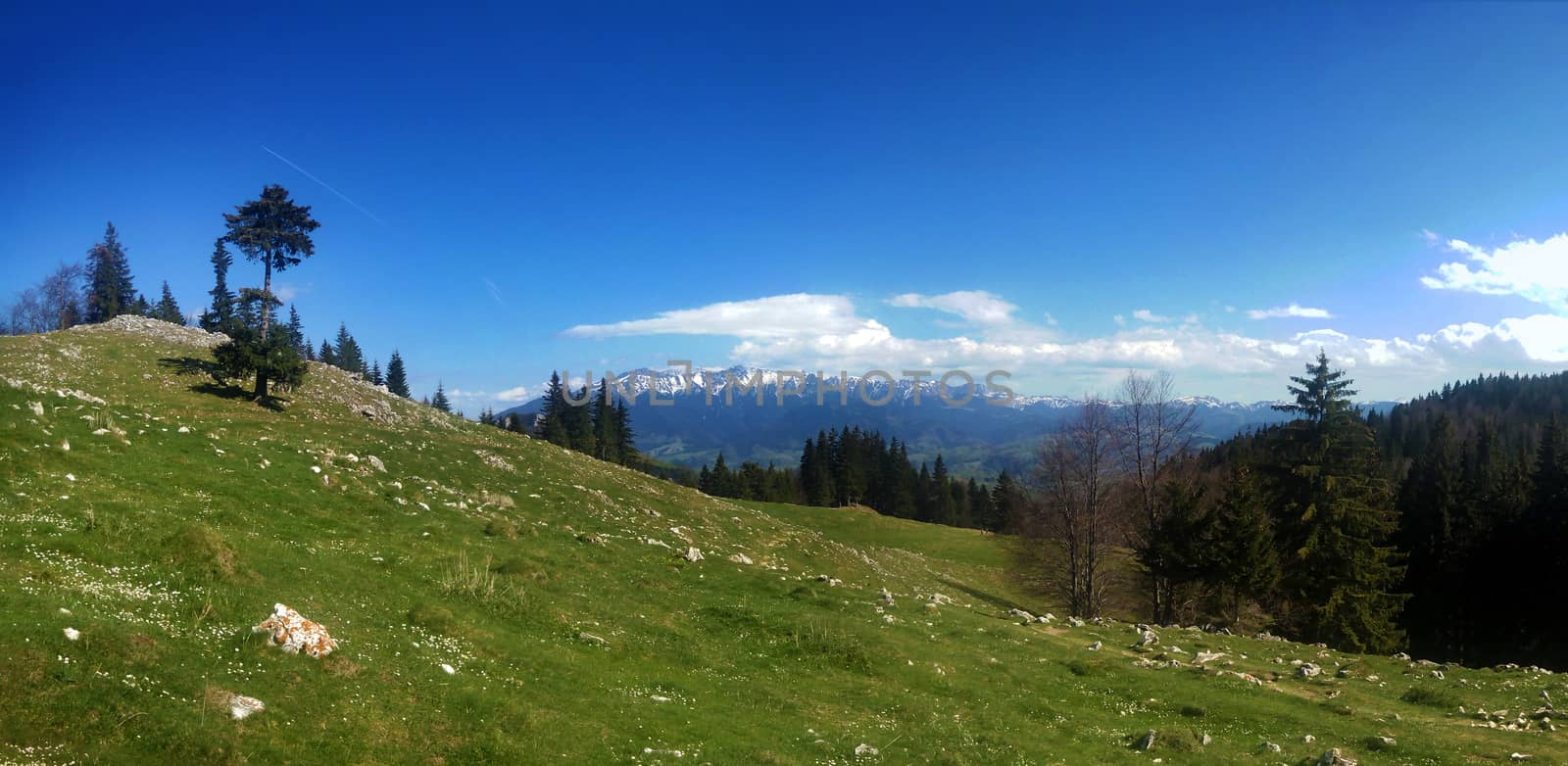 Panoramic view of Mount Bucegi on spring, part of the Carpathian Range from Romania