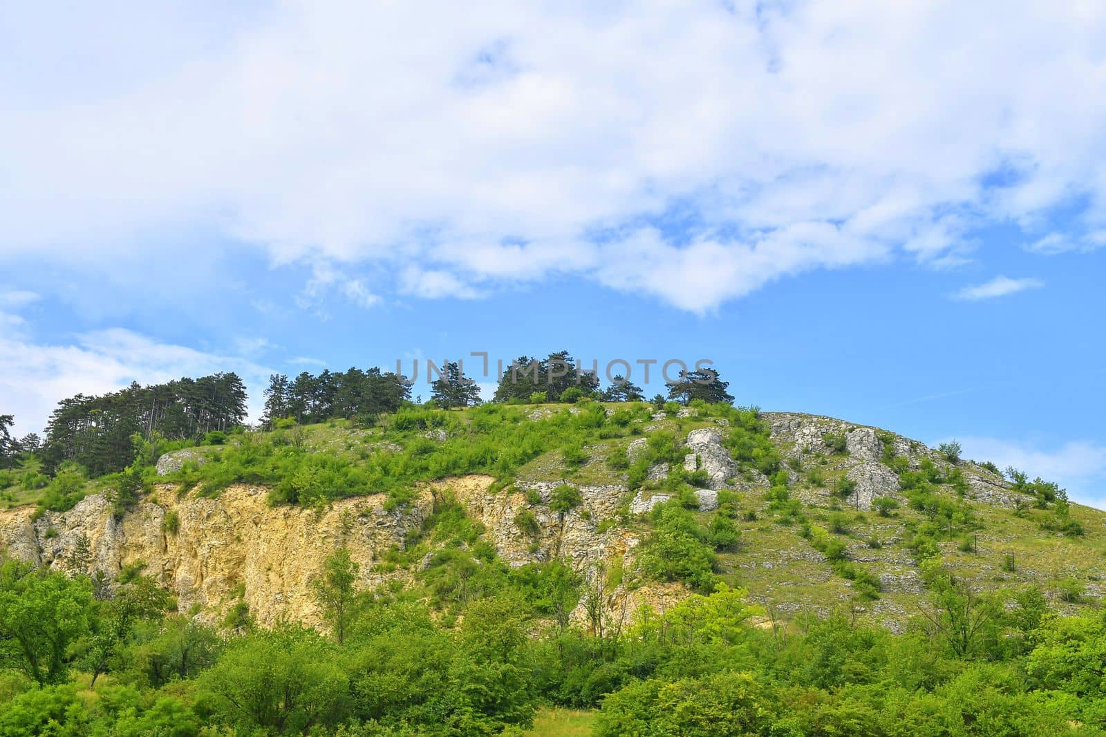 The Pavlov Hills, in Czech also Palava.  White limestone rocks,  flowers in rock. South Moravia, the Czech Republic, Europe by roman_nerud