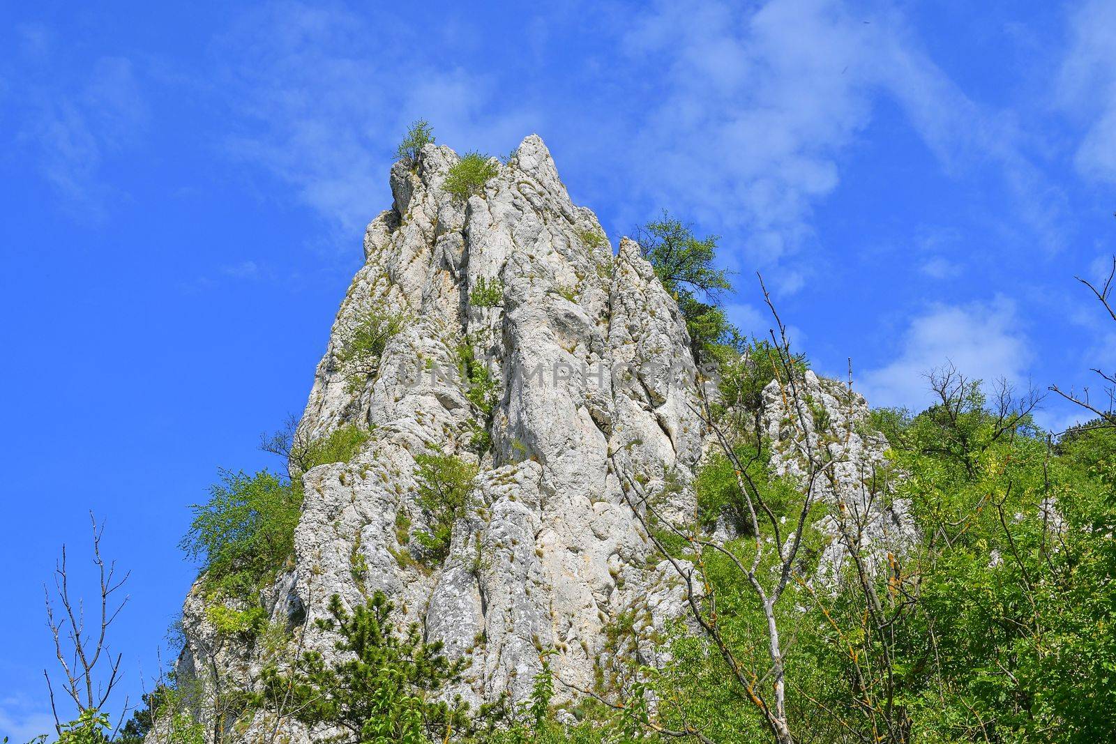 The Pavlov Hills, in Czech also Palava.  White limestone rocks,  flowers in rock. South Moravia, the Czech Republic, Europe.