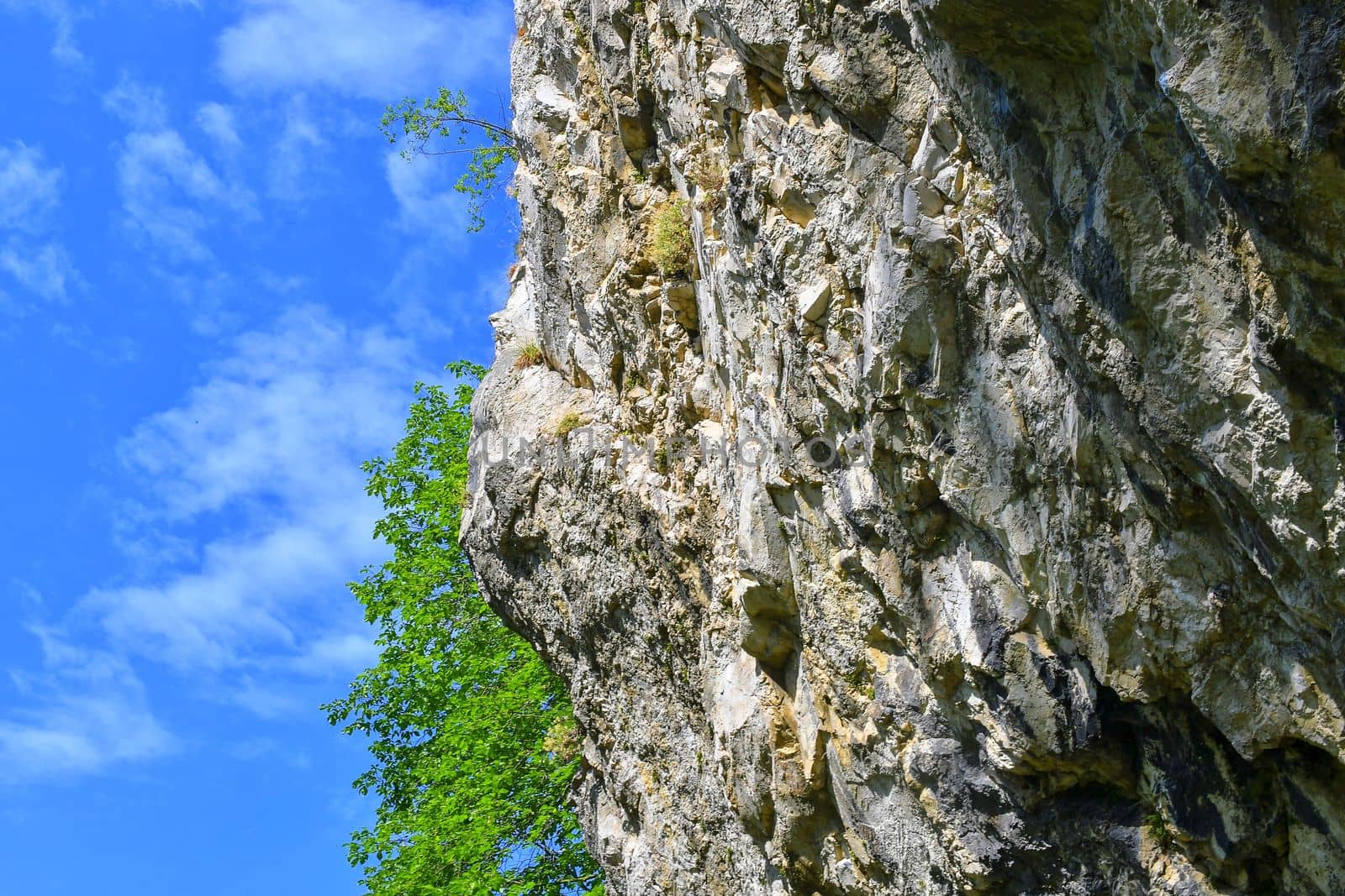 The Pavlov Hills, in Czech also Palava.  White limestone rocks,  flowers in rock. South Moravia, the Czech Republic, Europe.