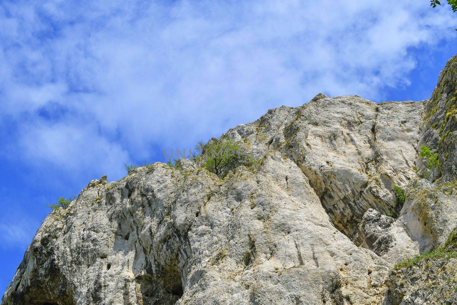 The Pavlov Hills, in Czech also Palava.  White limestone rocks,  flowers in rock. South Moravia, the Czech Republic, Europe by roman_nerud