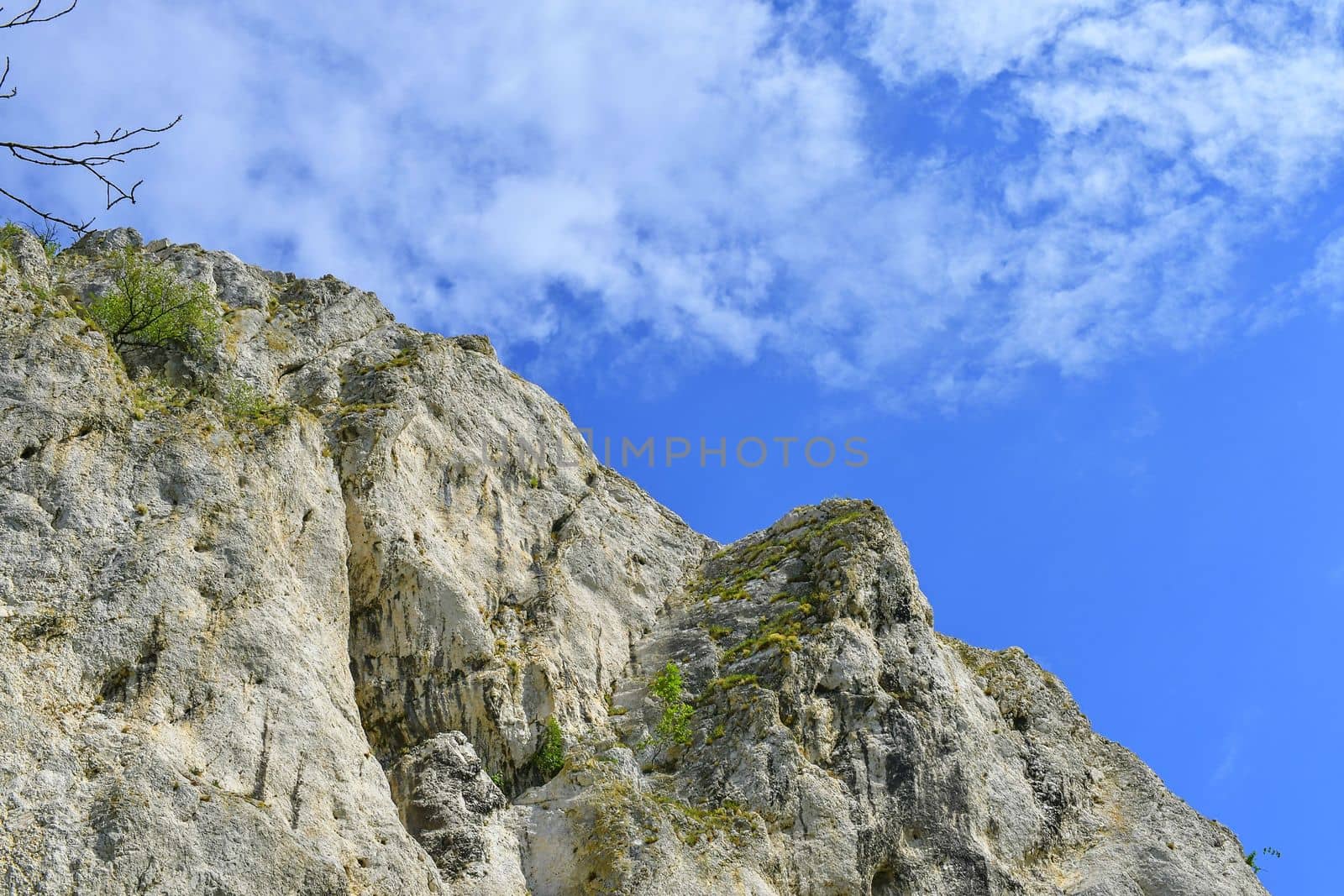 The Pavlov Hills, in Czech also Palava.  White limestone rocks,  flowers in rock. South Moravia, the Czech Republic, Europe.