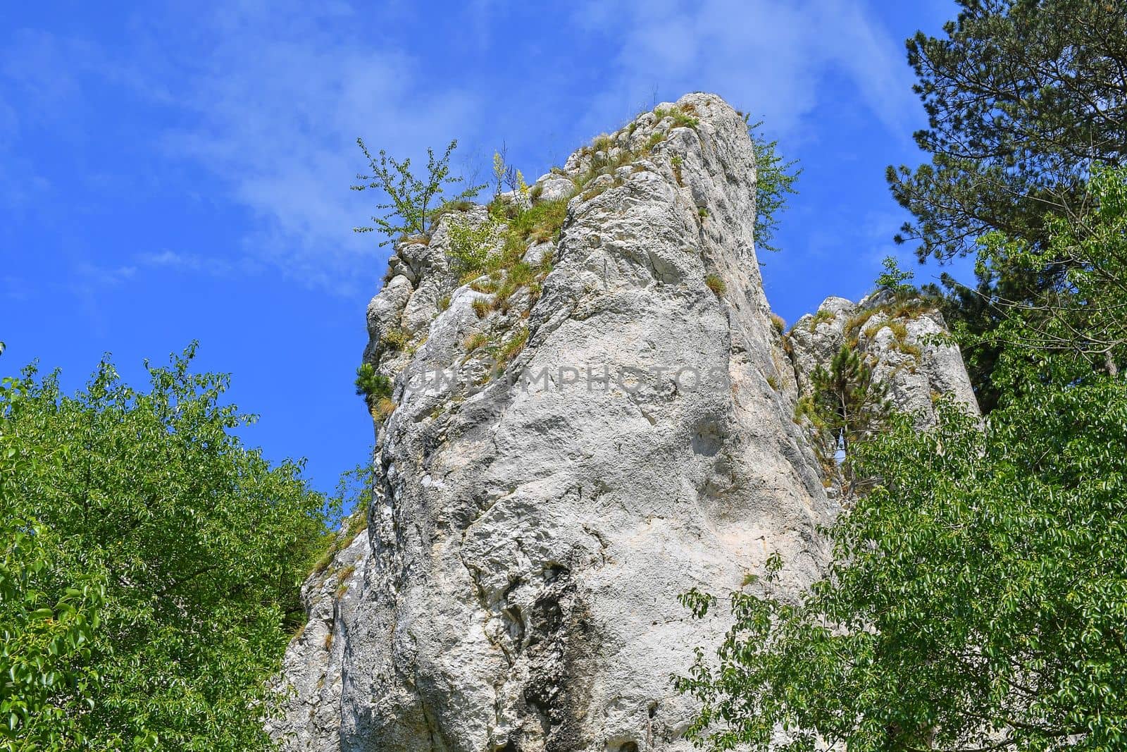 The Pavlov Hills, in Czech also Palava.  White limestone rocks,  flowers in rock. South Moravia, the Czech Republic, Europe.