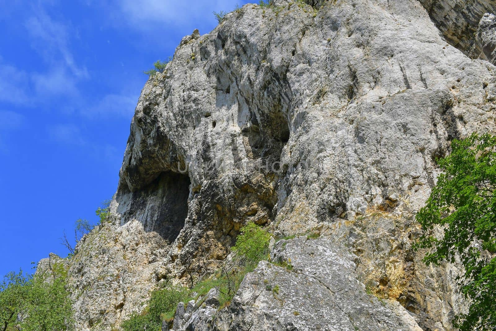 The Pavlov Hills, in Czech also Palava.  White limestone rocks,  flowers in rock. South Moravia, the Czech Republic, Europe by roman_nerud