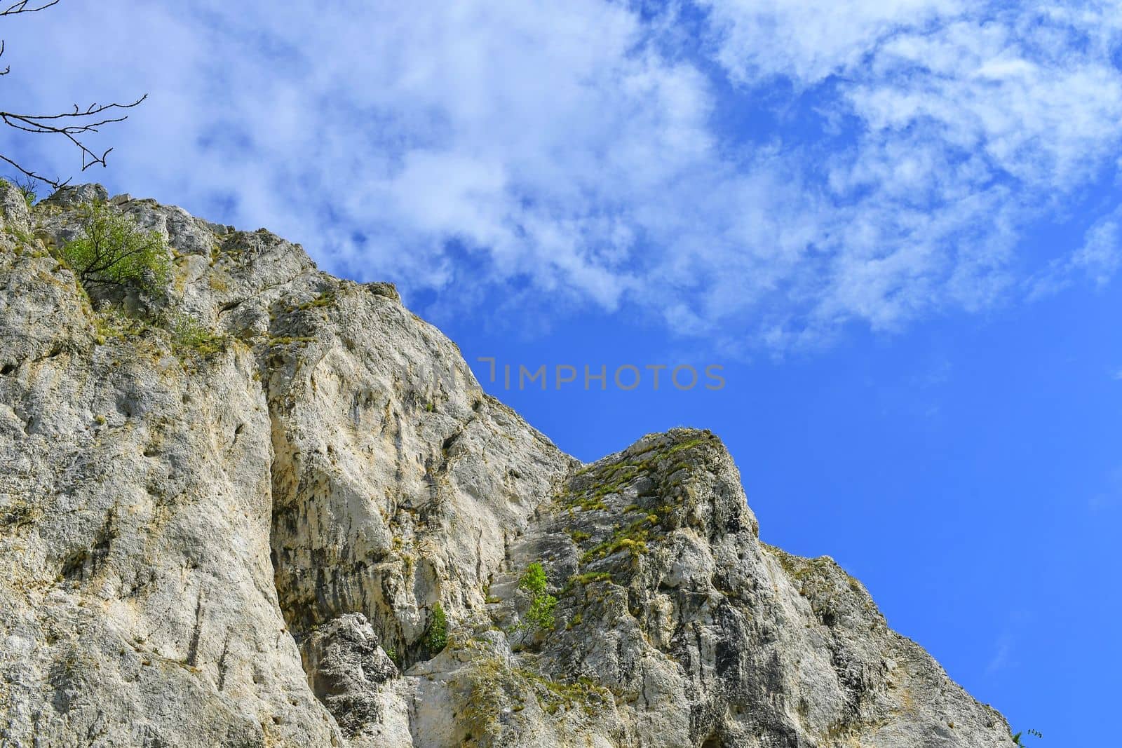 The Pavlov Hills, in Czech also Palava.  White limestone rocks,  flowers in rock. South Moravia, the Czech Republic, Europe by roman_nerud