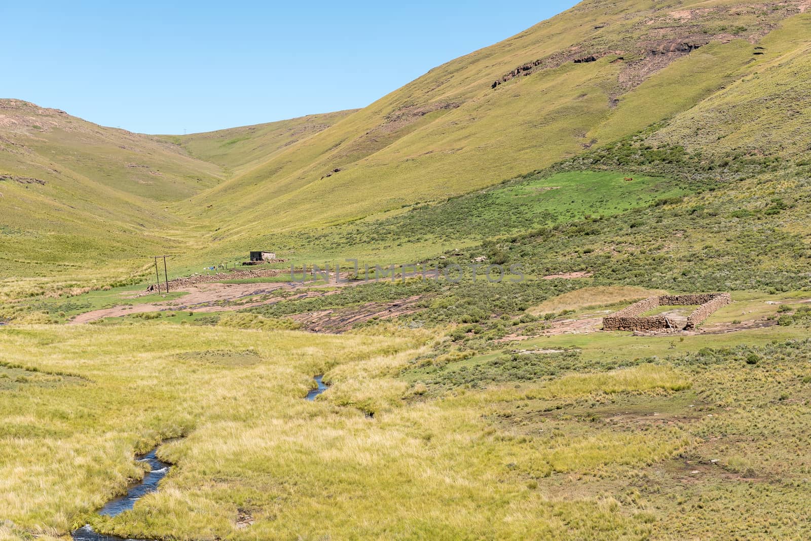 A farm landscape on Naudes Nek Pass in the Eastern Cape Province of South Africa. Cattle, sheep and a farm worker house are visible
