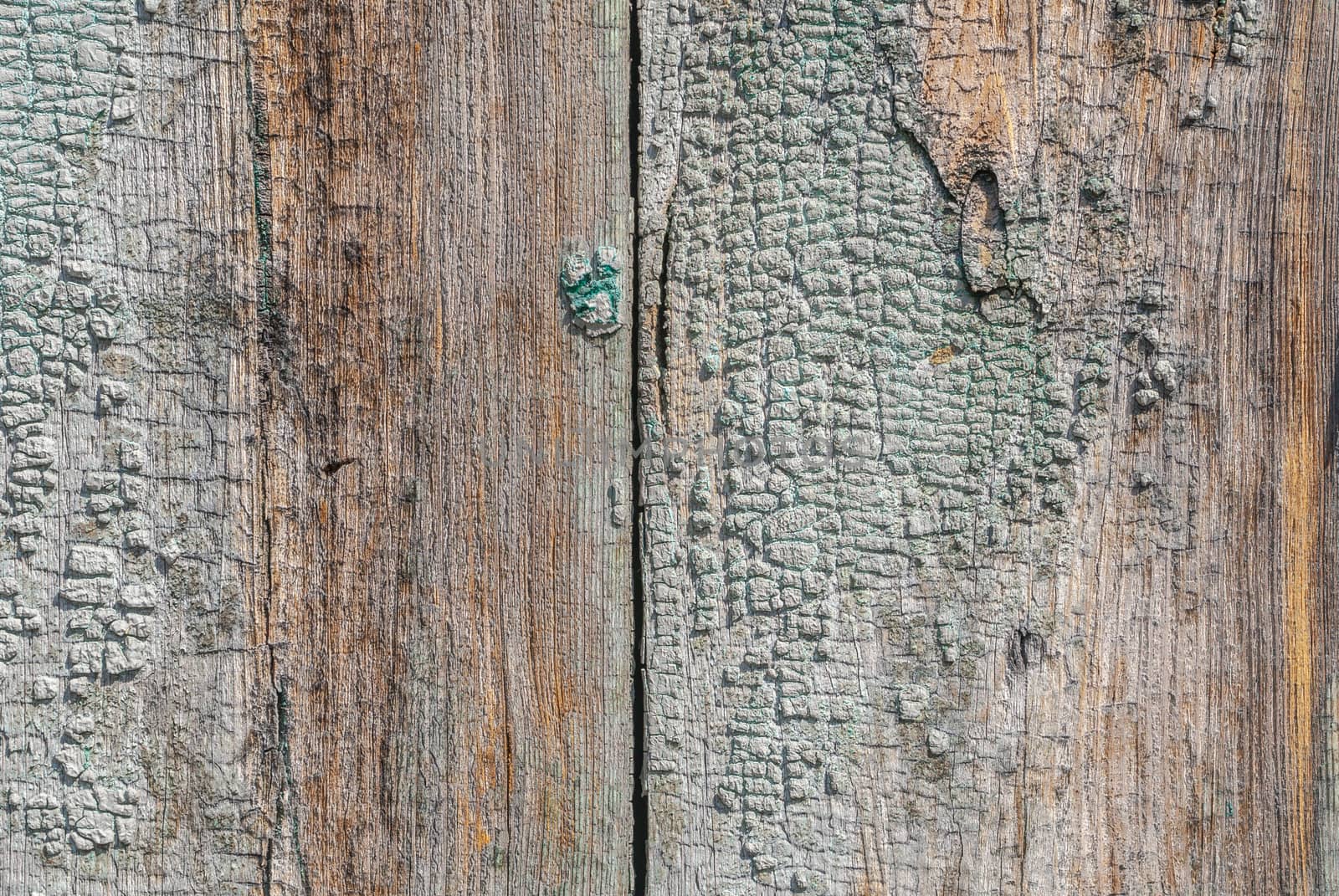 texture of wooden surface with remnants of old paint that has dried and cracked under the influence of weather