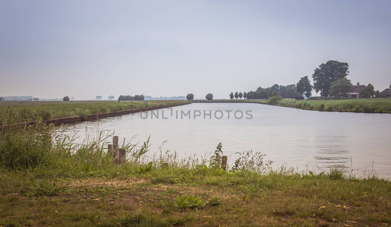 landscape in holland at the river Eem with trees at the horzion and grass in foreground