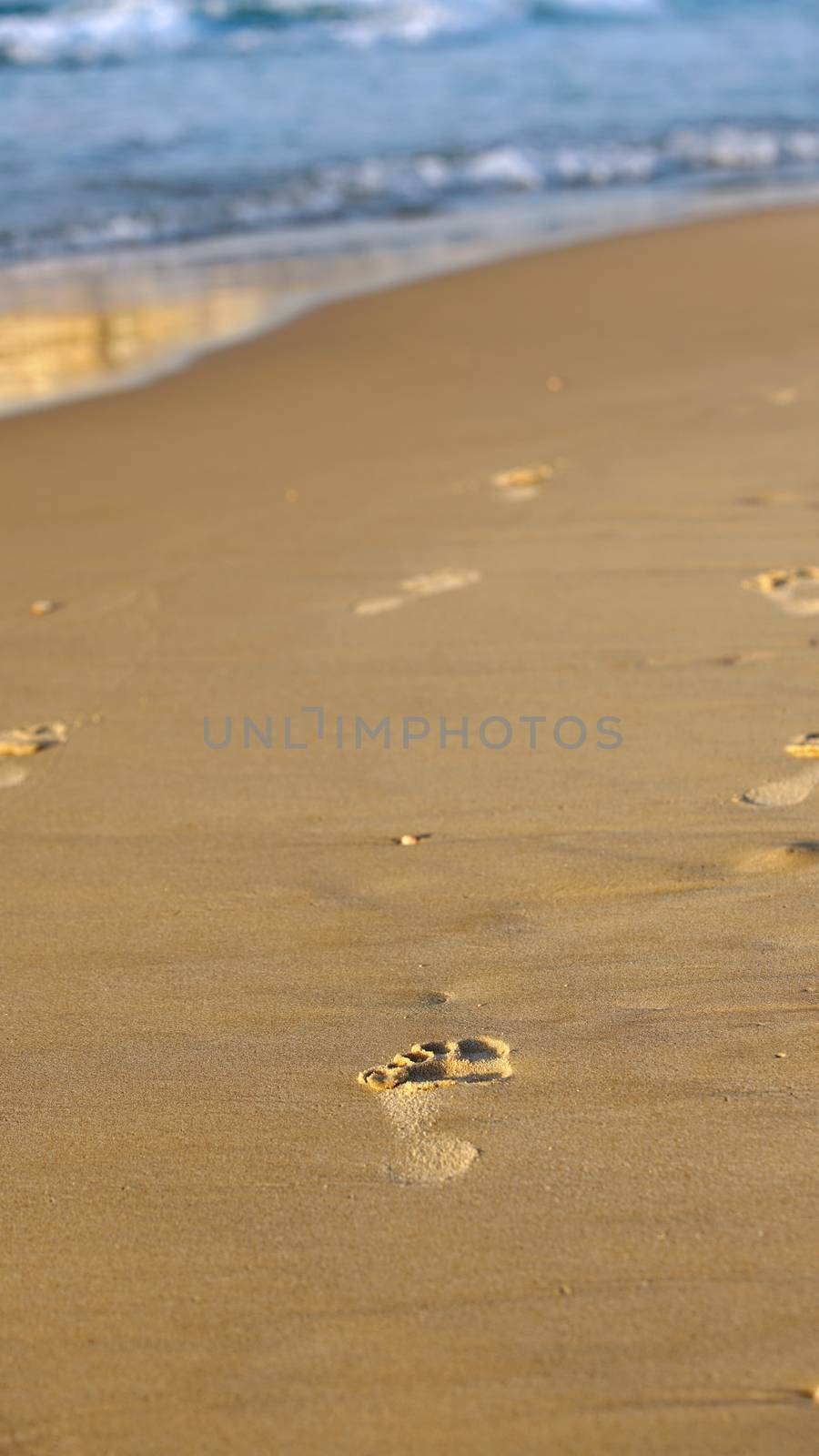 feet footprints in the sand seashore closeup