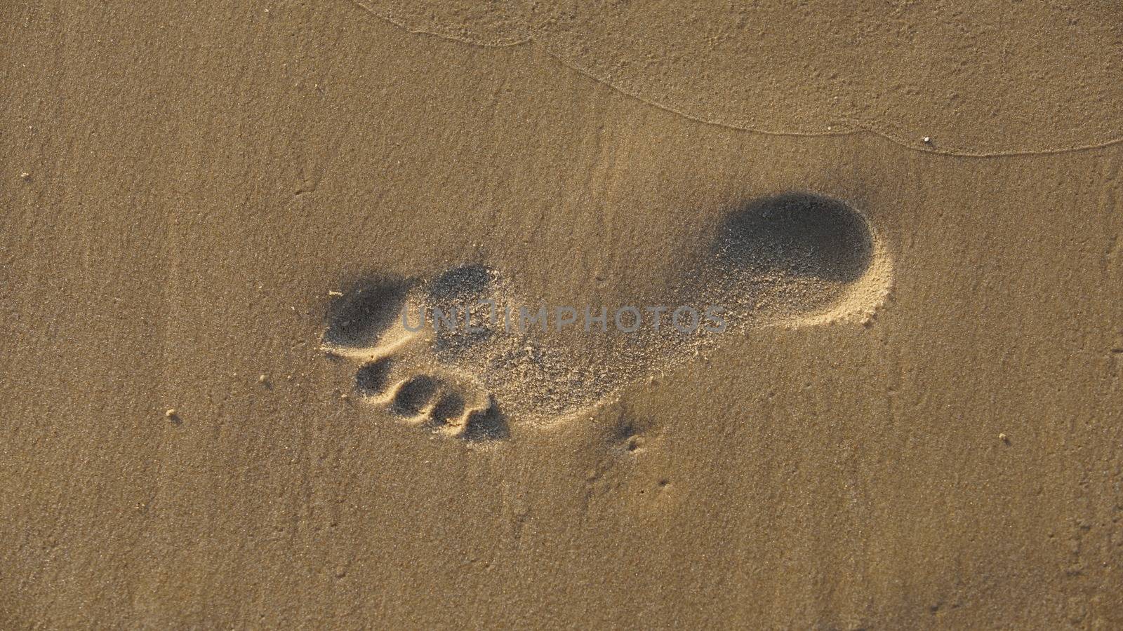 feet footprints in the sand seashore closeup
