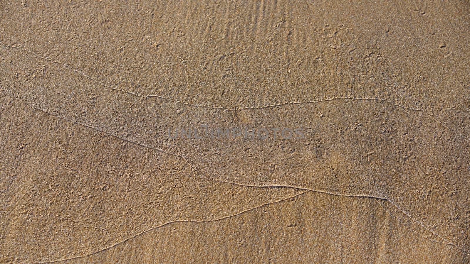 abstract background from the texture of sea sand and water