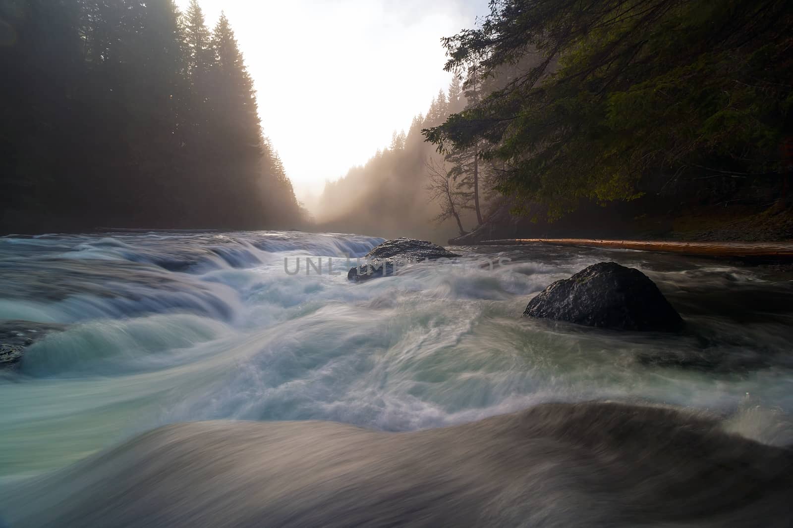 Top of Lower Lewis River Falls in Gifford Pinchot National Forest during sunset