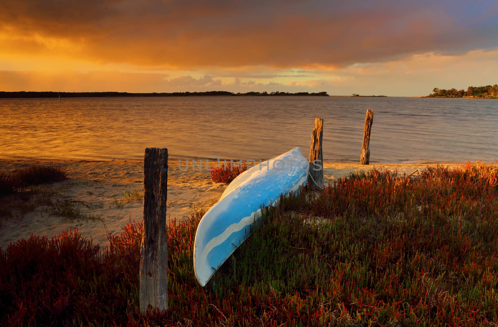 A blue canoe kayak upturned on the sandy shore full of fire sticks in bloom as a vibrant sunrise lights up the sky.