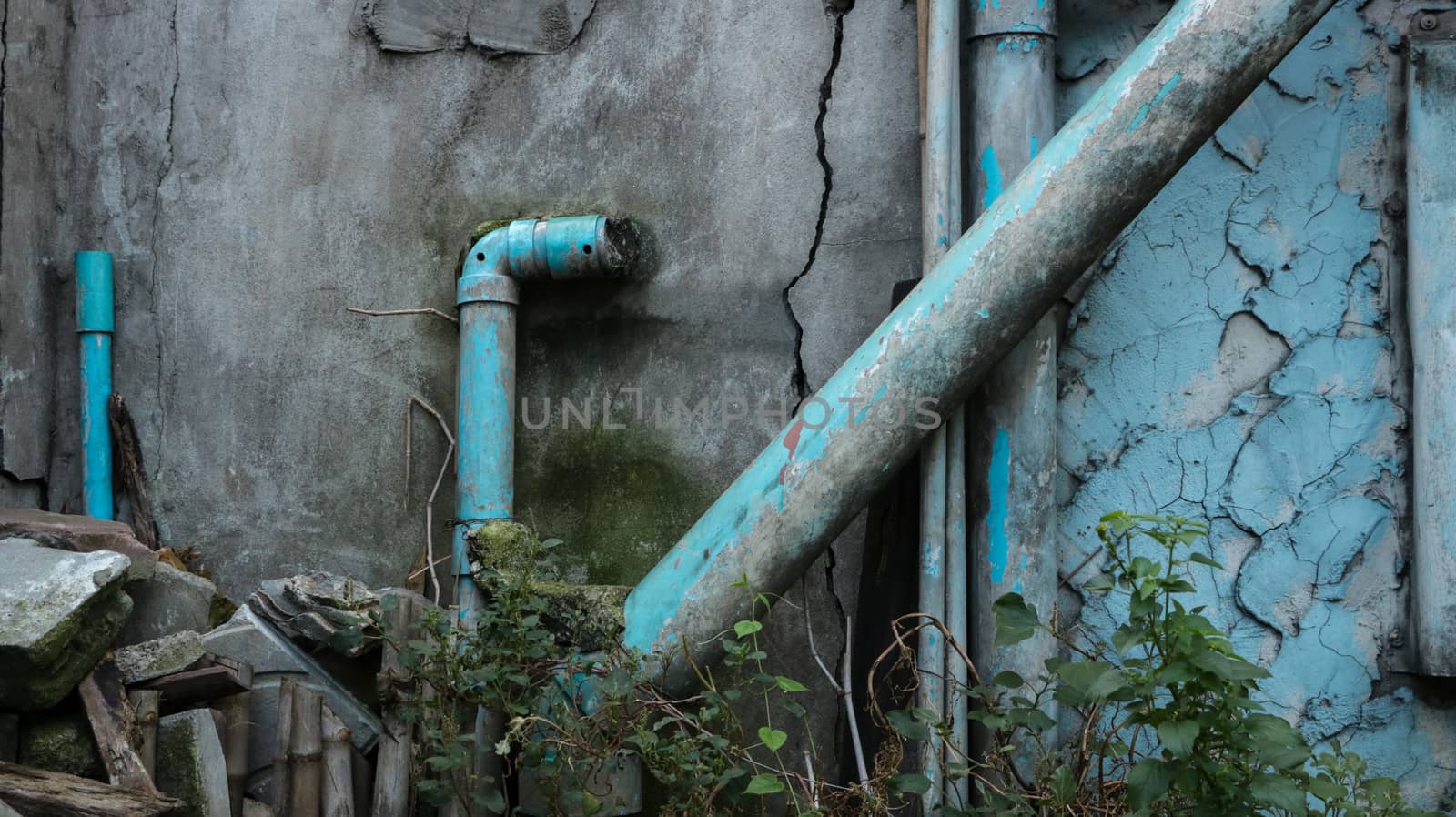 Blue/ Teal Painted Water Pipes on Moldy Old Wall with Green Herbs in Abandoned Garden/ Junkyard. Rural Thailand.
