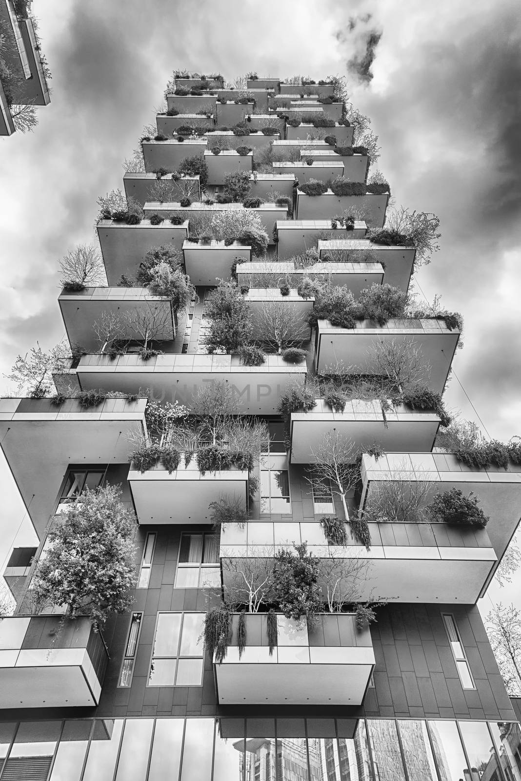 Bosco Verticale (Vertical Forest) iconic residential towers in M by marcorubino