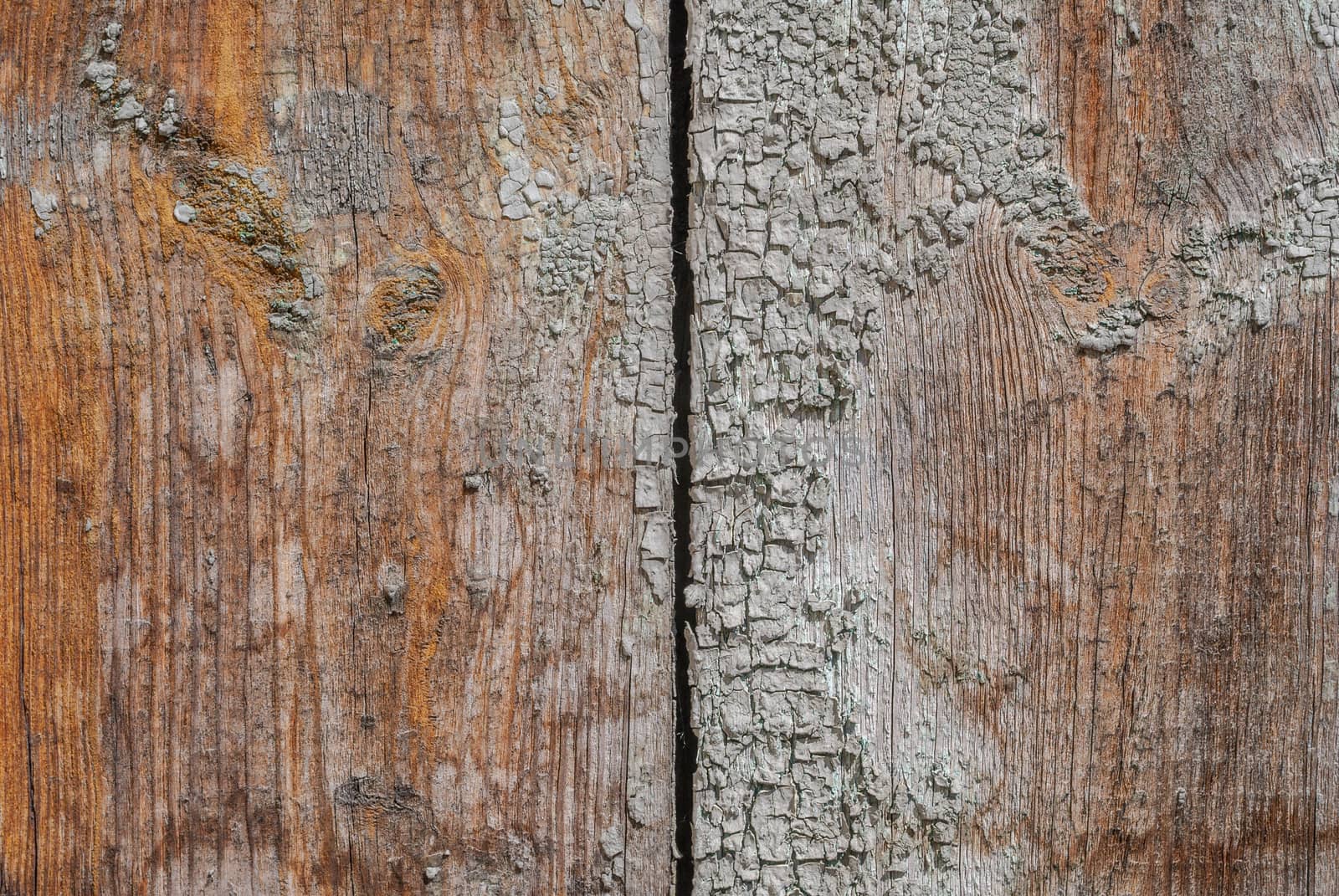 old wooden boards with cracks and peeling paint, chipped paint, texture, background by uvisni