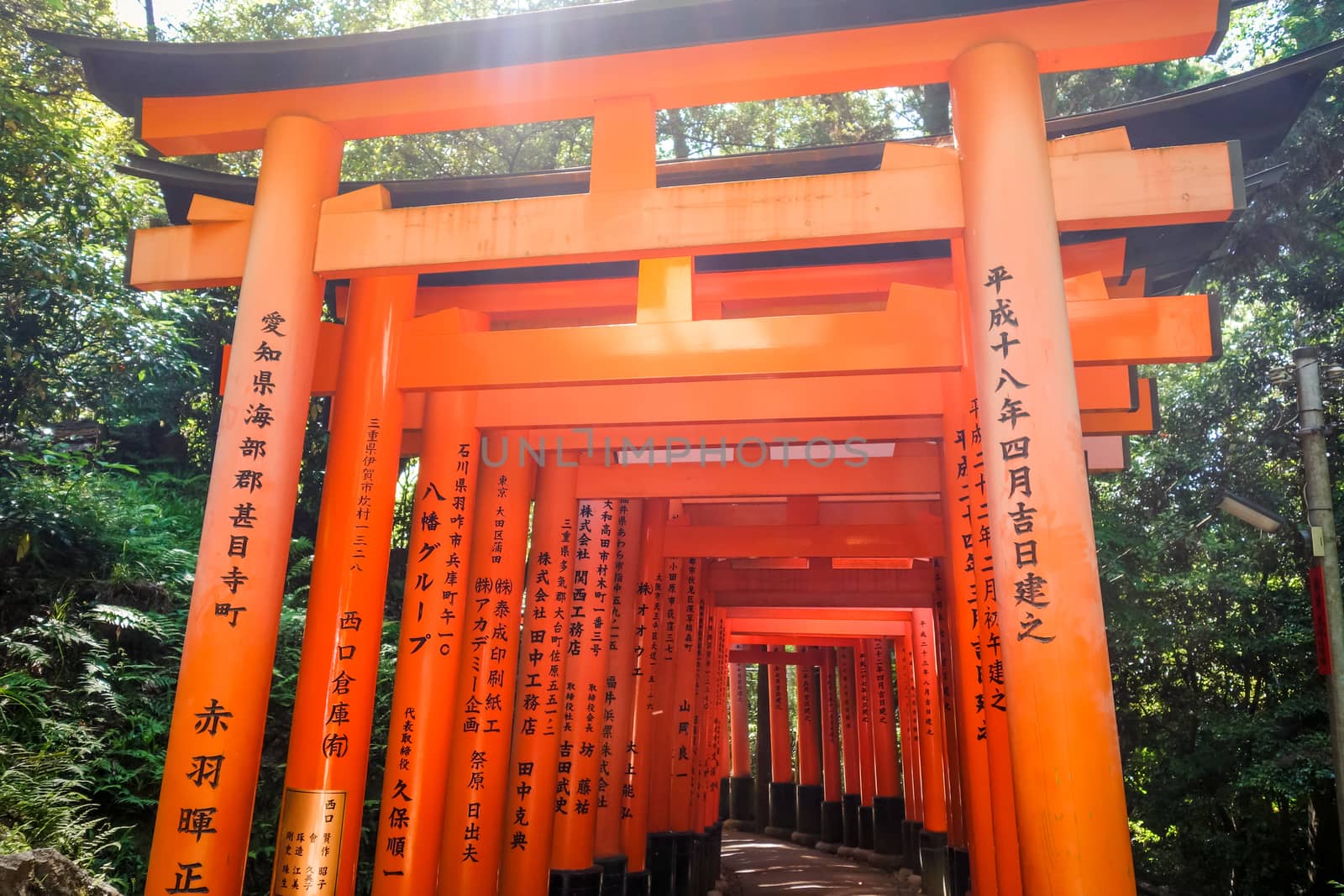 Fushimi Inari Taisha torii shrine, Kyoto, Japan