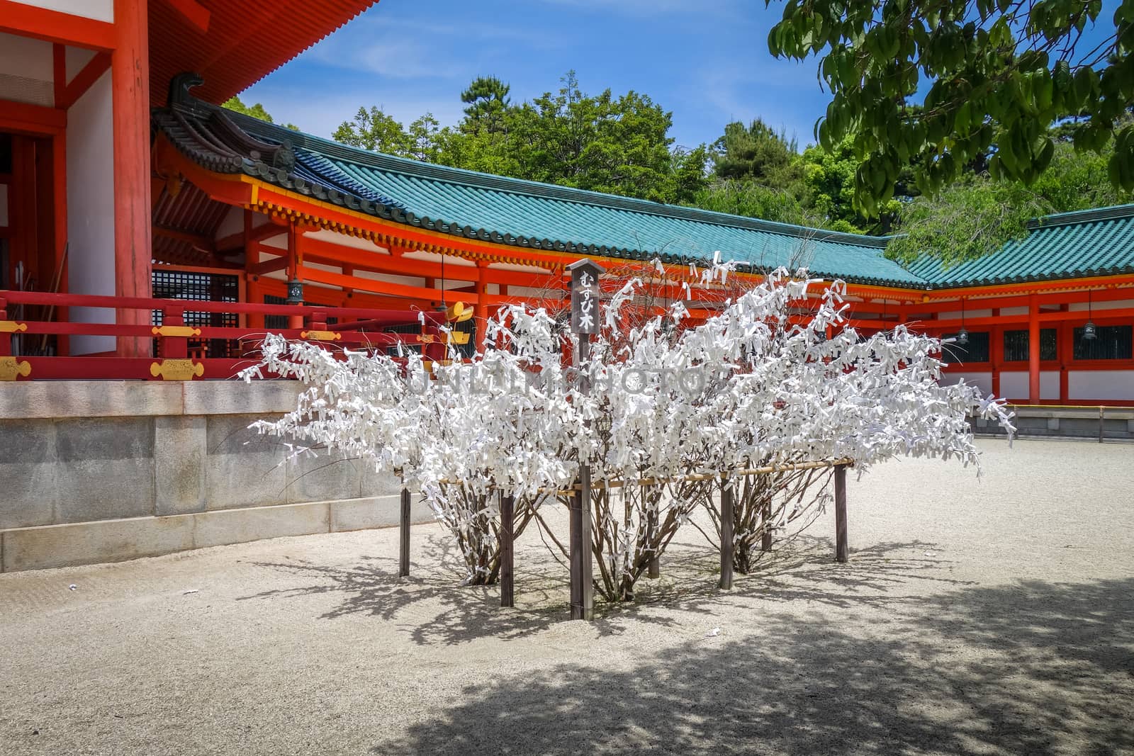 Omikuji tree at Heian Jingu Shrine temple, Kyoto, Japan by daboost