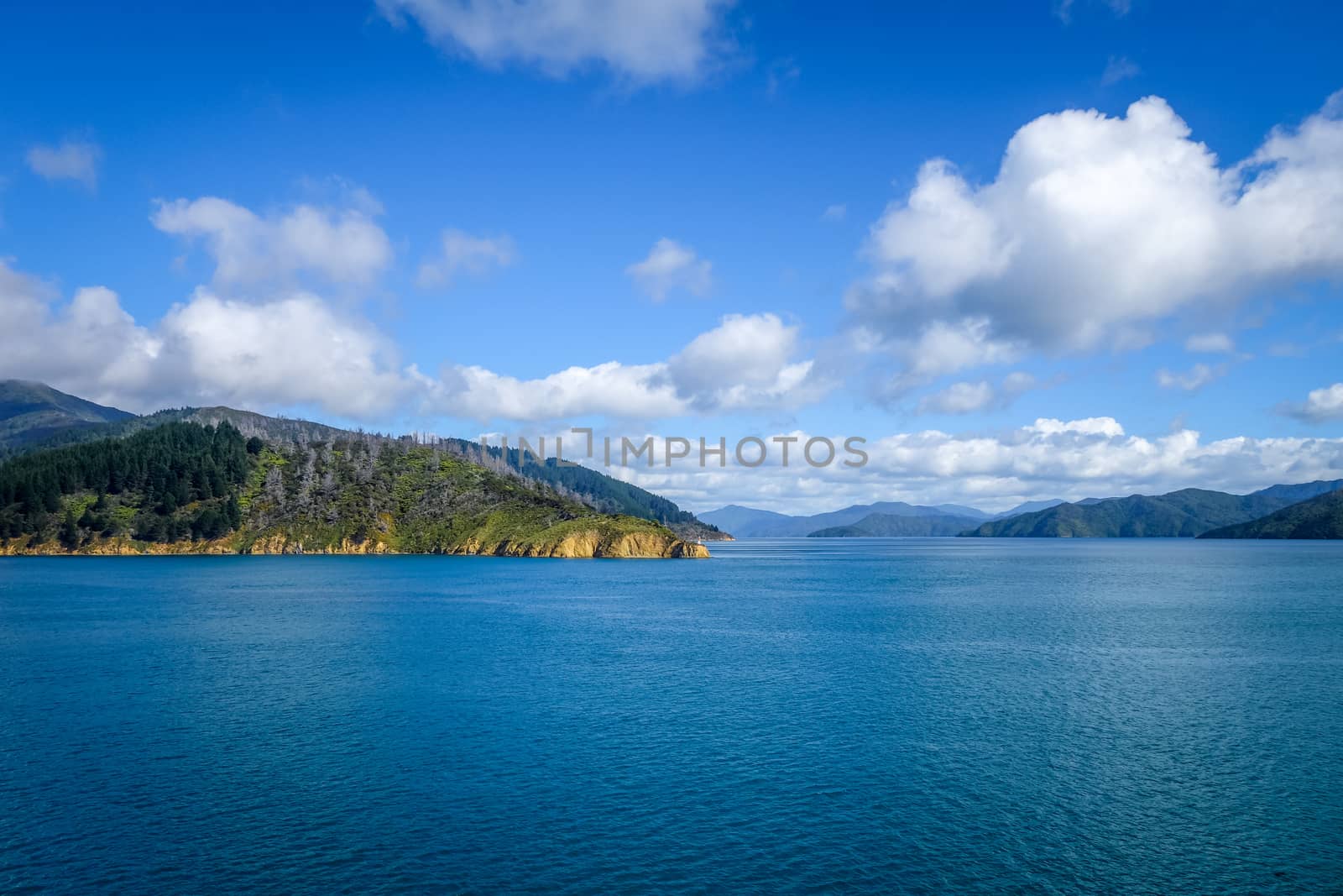 Marlborough Sounds coast and hills, New Zealand