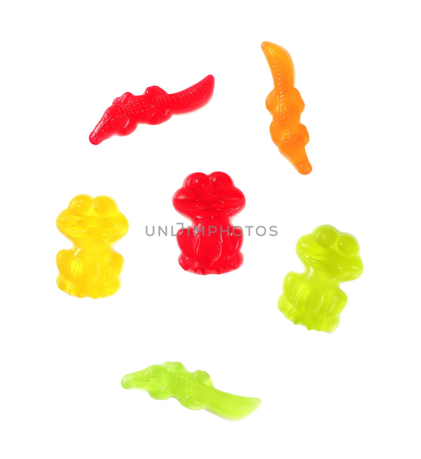 colorful gummy candies in the shape of animals on white background