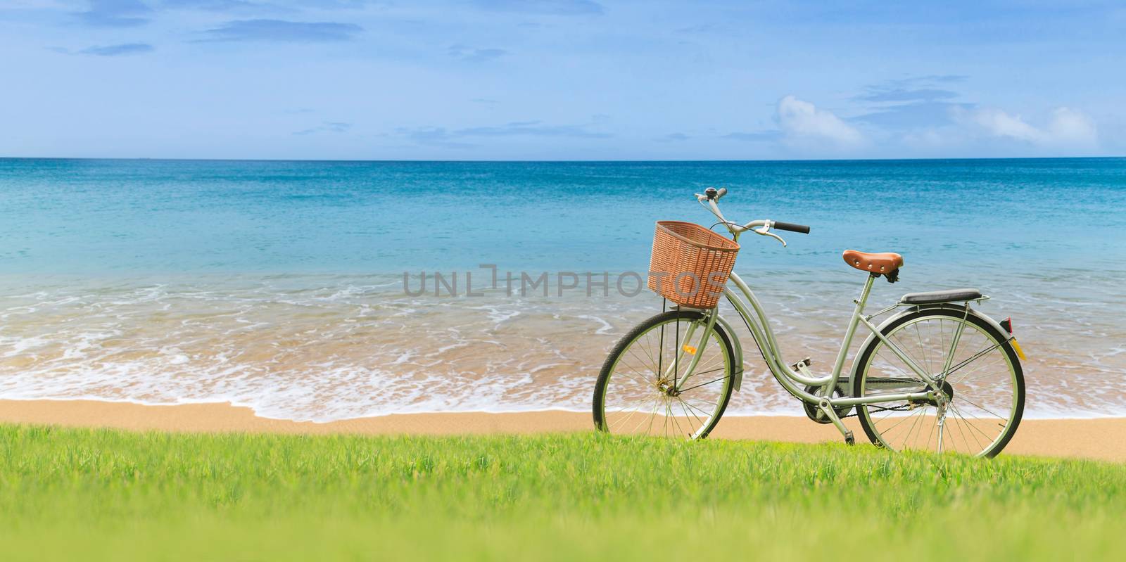 Bicycles on the green grass near the sea