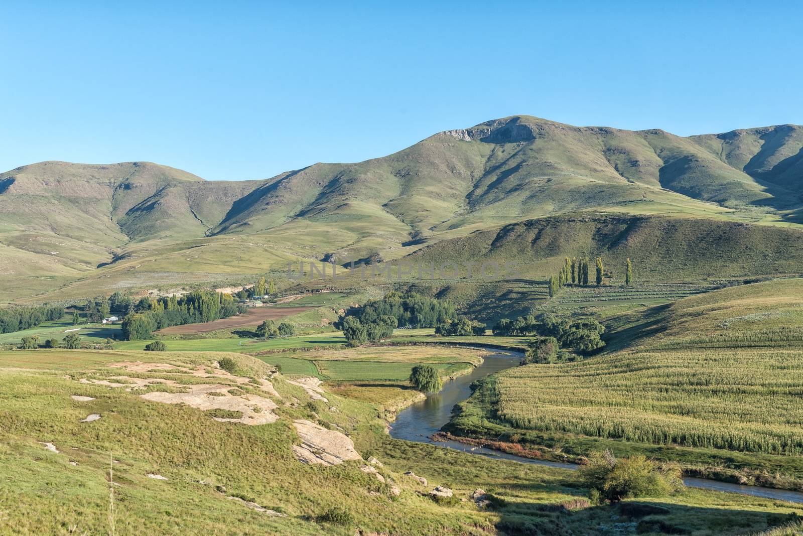 A farm landscape next to the Bell River near Rhodes in the Eastern Cape Province of South Africa