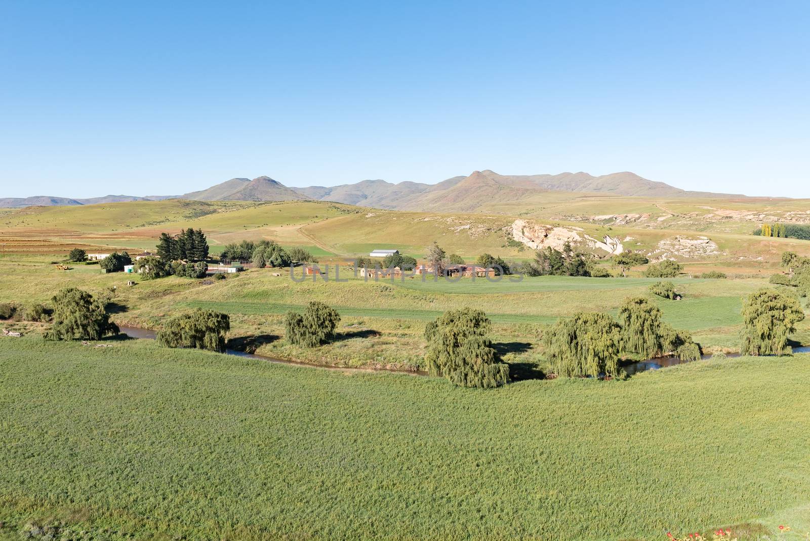 A farm landscape next to the Bell River near Rhodes in the Eastern Cape Province of South Africa