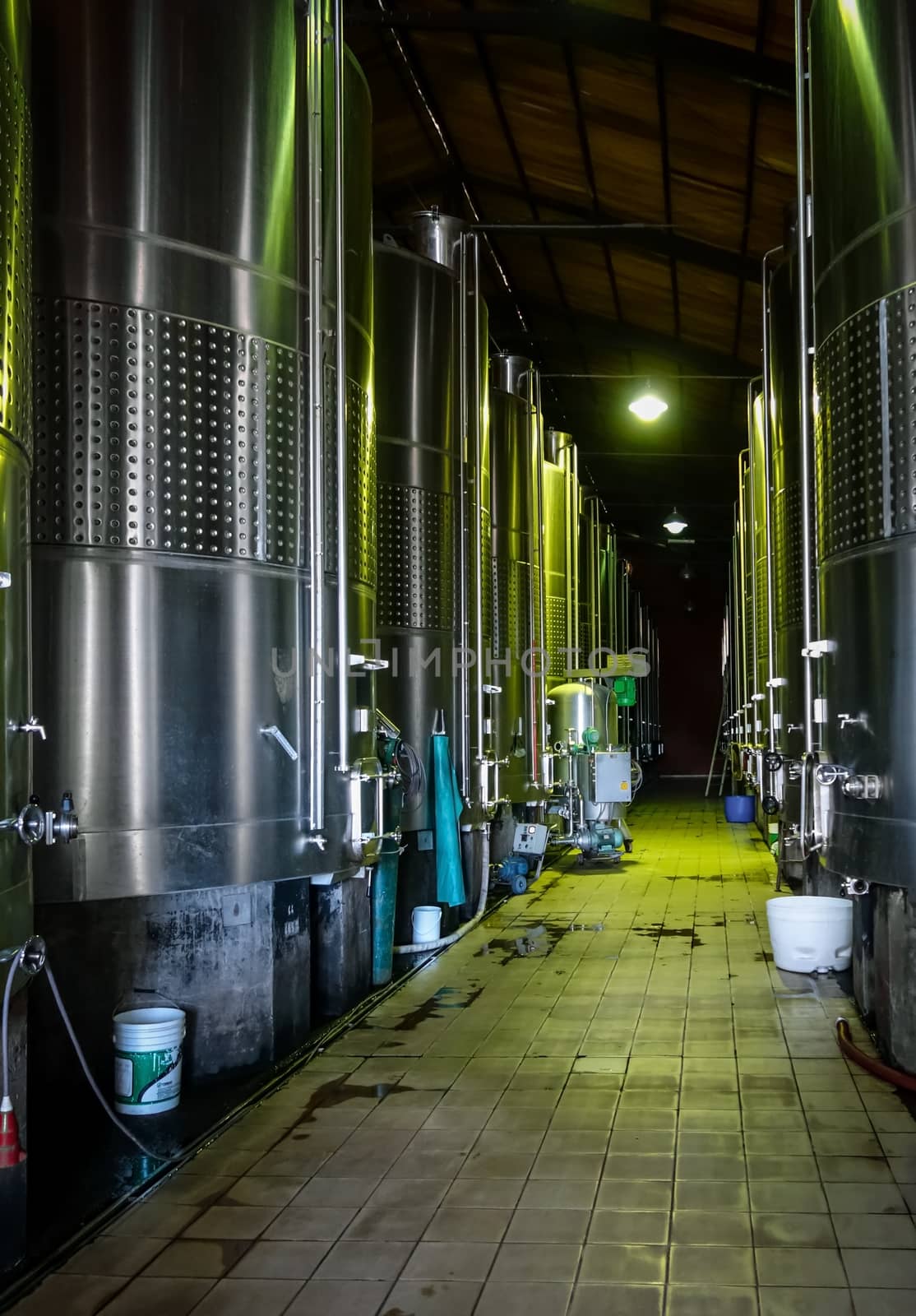 metal wine barrels in a winery by daboost