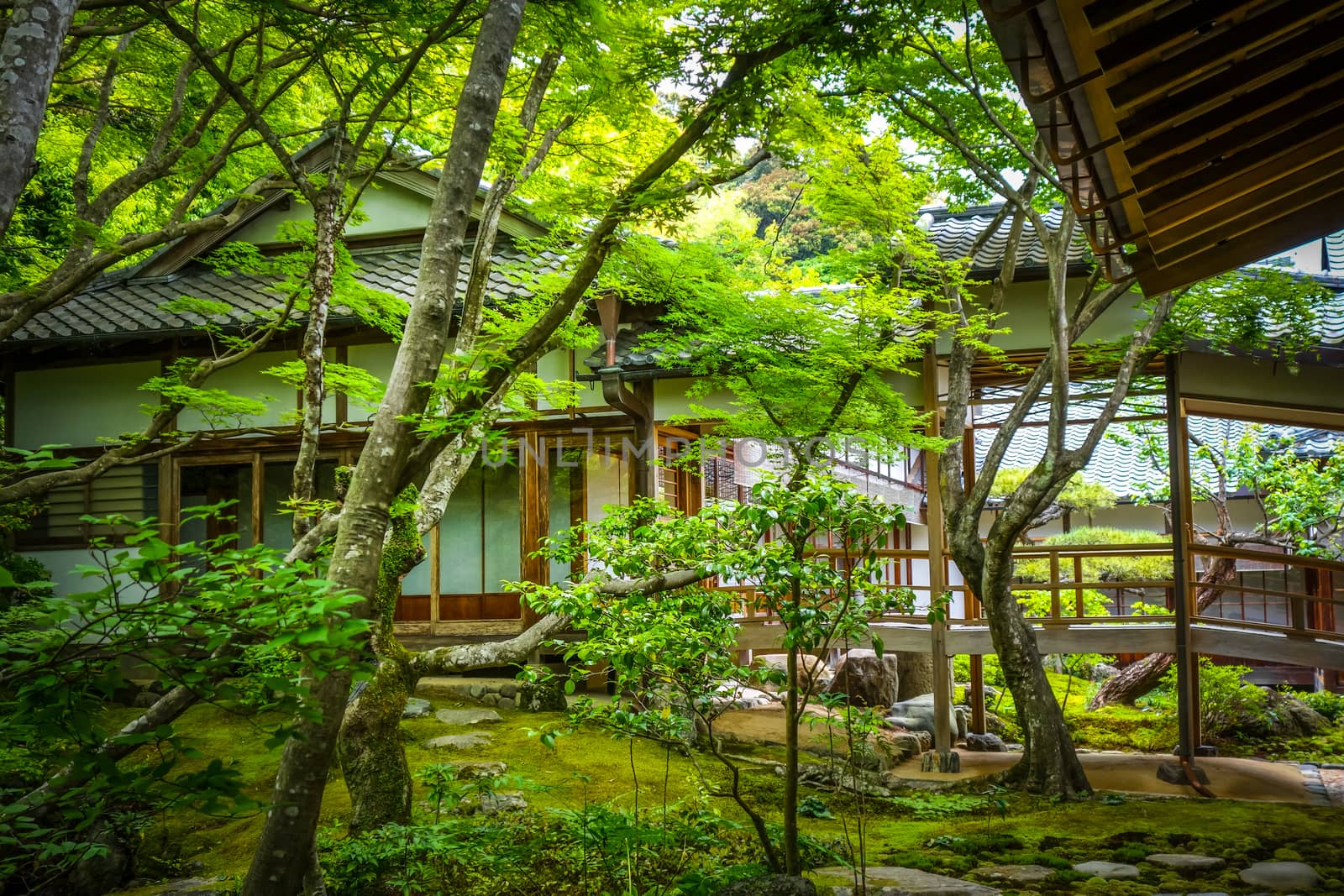 Jojakko-ji Shrine temple in Arashiyama bamboo forest, Kyoto, Japan