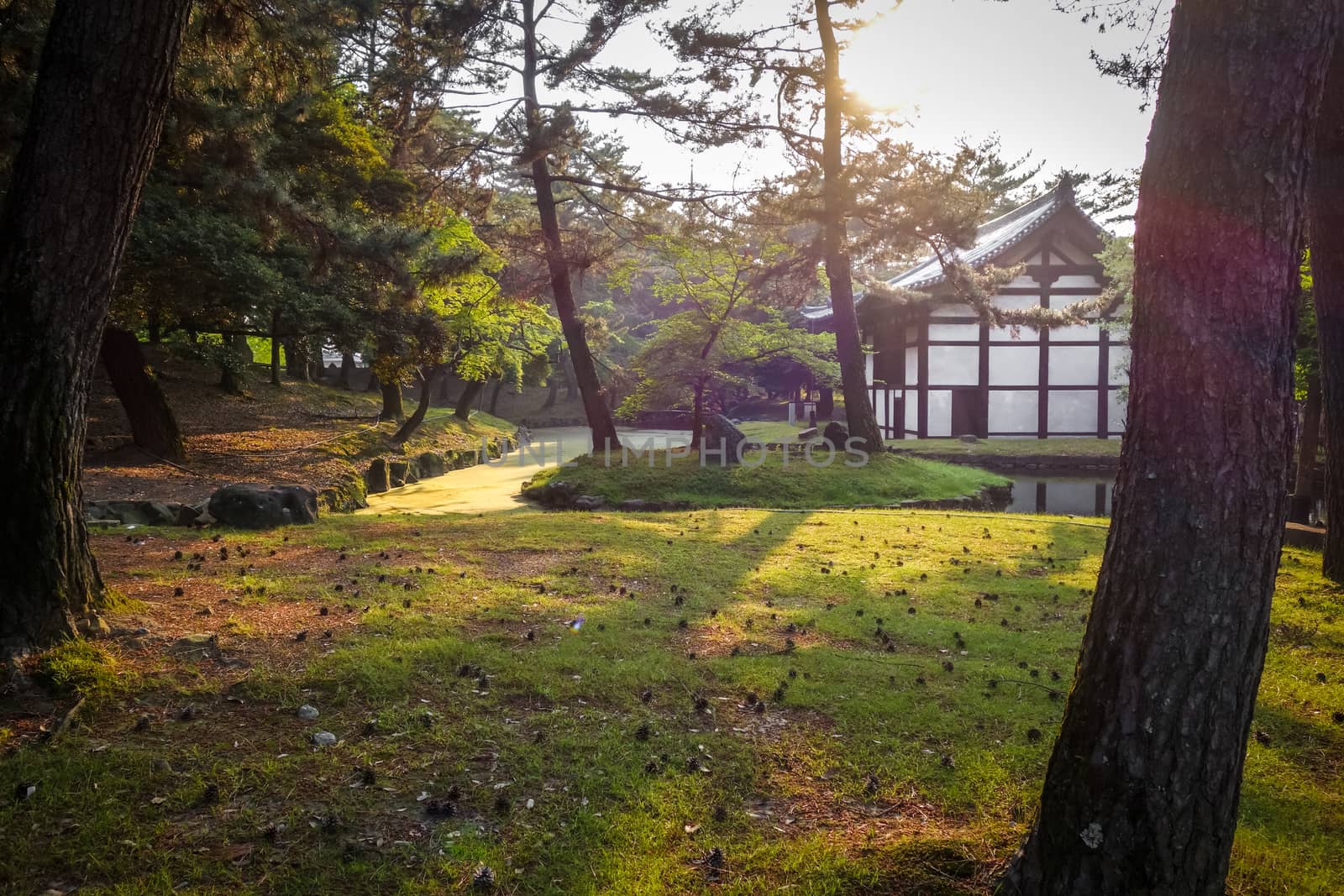 Pavillion in the forest, Nara park, Japan