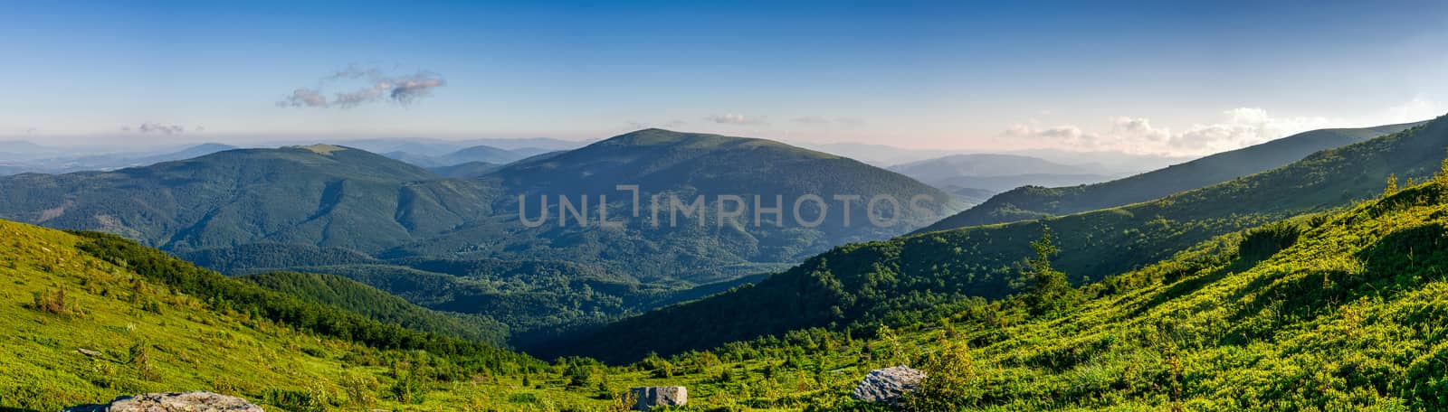 panorama of mountain ridge in summer by Pellinni