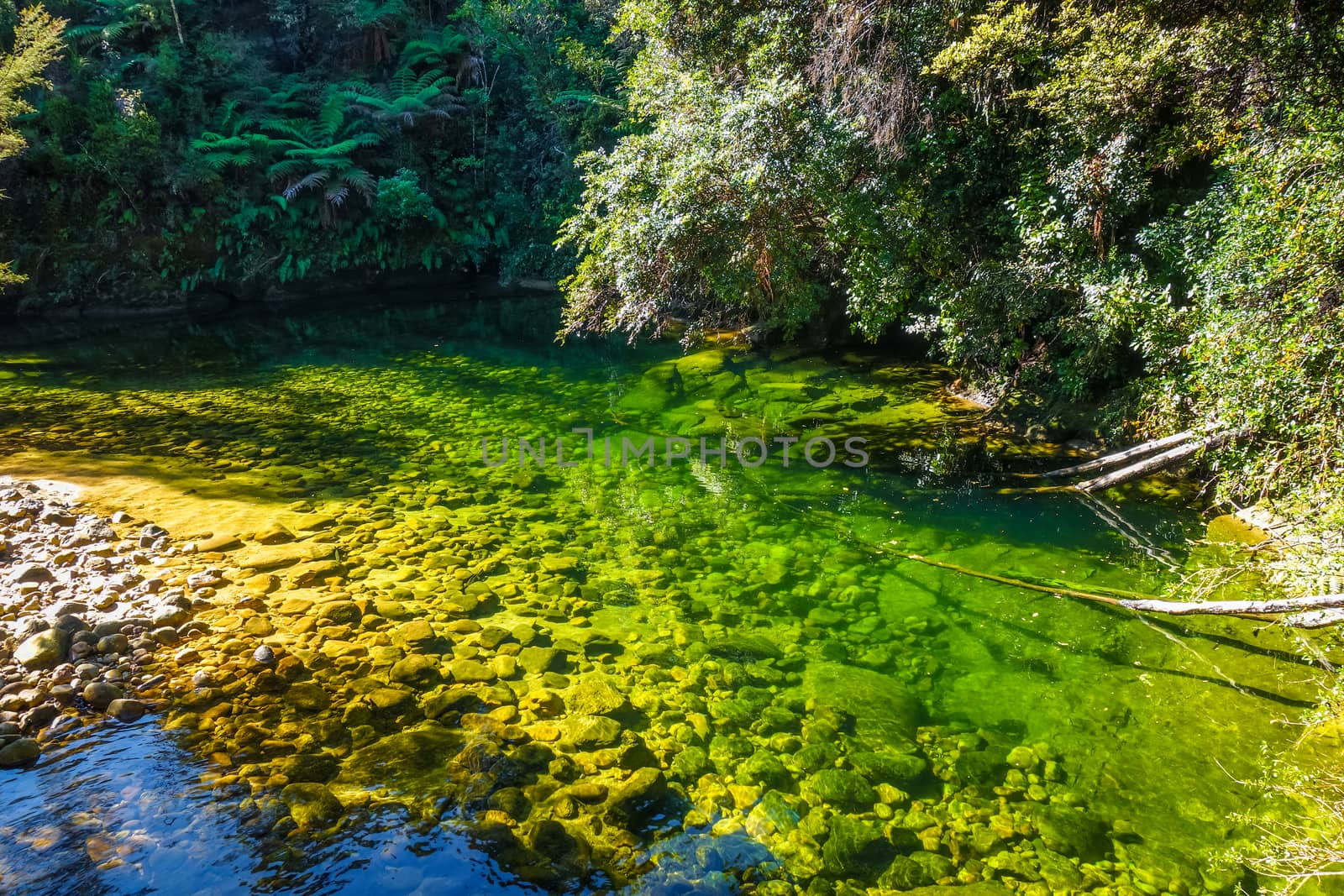 River in Abel Tasman National Park, New Zealand by daboost