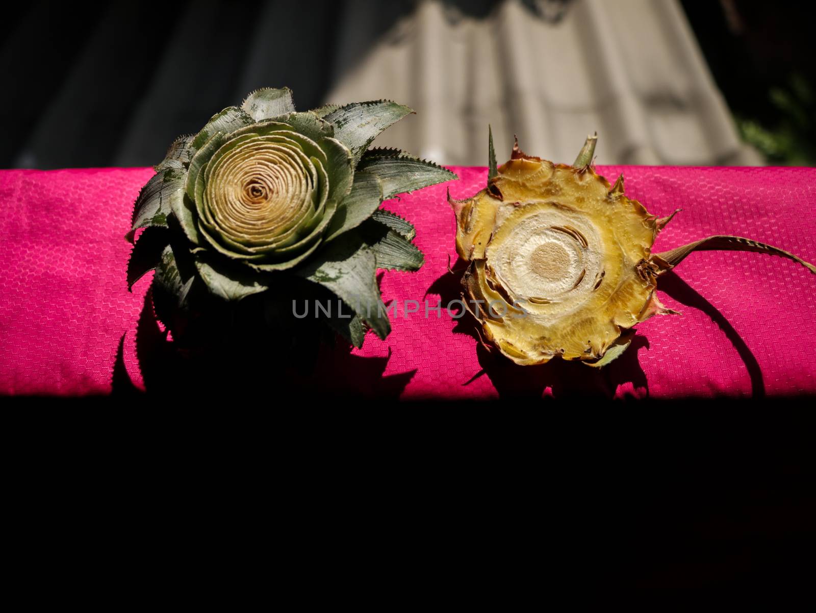 Cut Pineapple Head/ End on Bright Pink Plastic Mat/ Sheet in the Sun. Old Apartment Balcony with Corrugated Roof. Colorful Idea