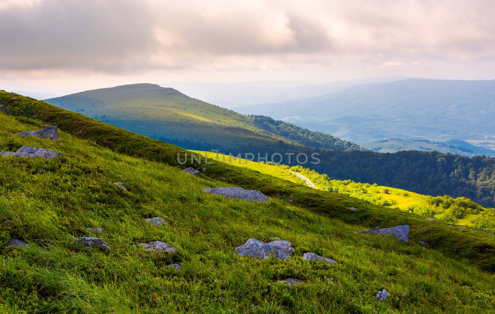 grassy slopes of Runa mountain in the morning. beautiful summer landscape of Carpathian mountains